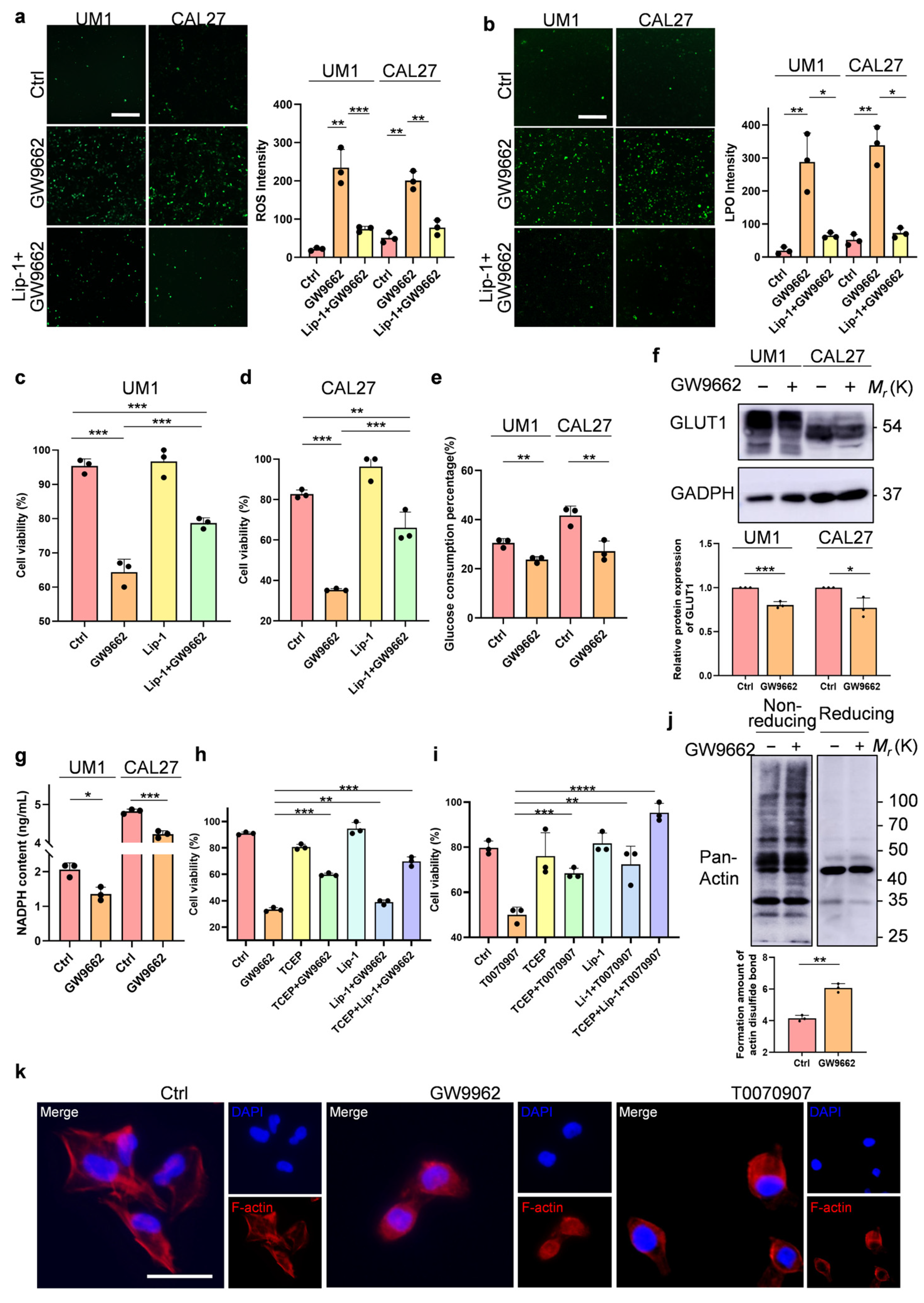 Biomolecules 14 00596 g002