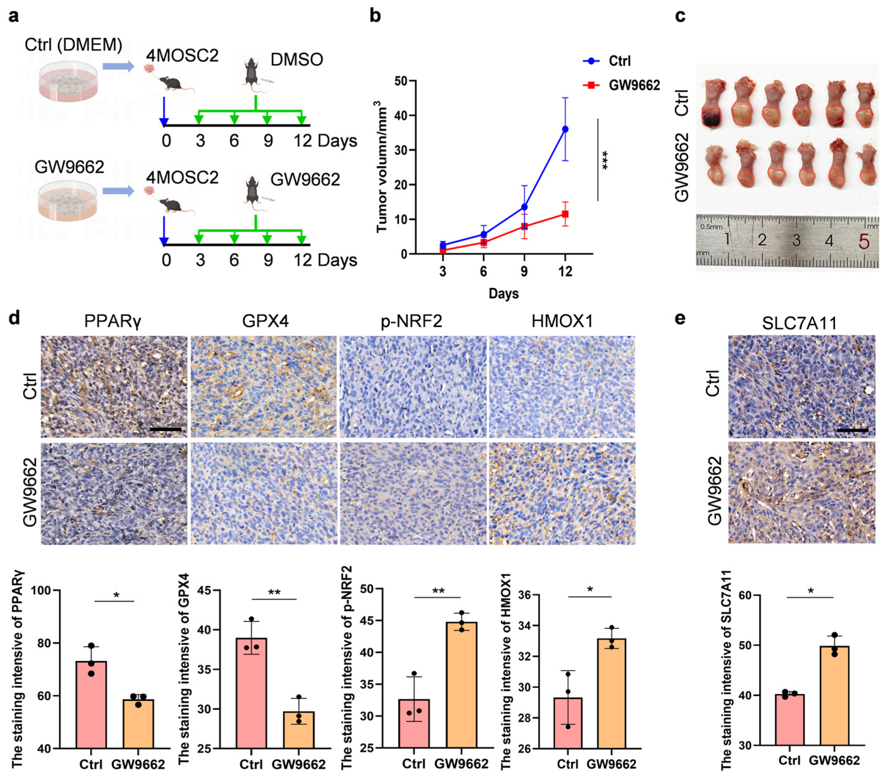 Biomolecules 14 00596 g004