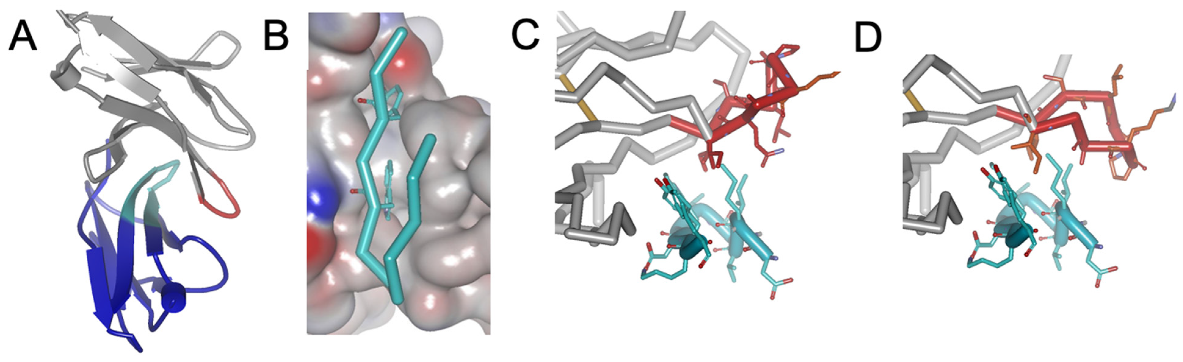 Biomolecules 14 00597 g001