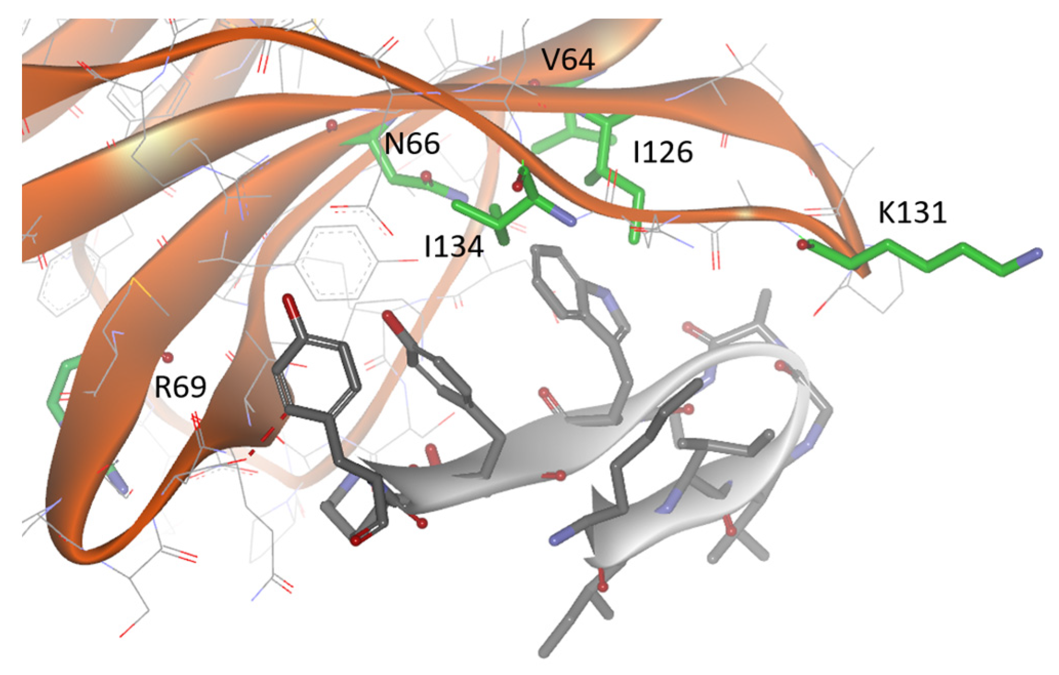 Biomolecules 14 00597 g004