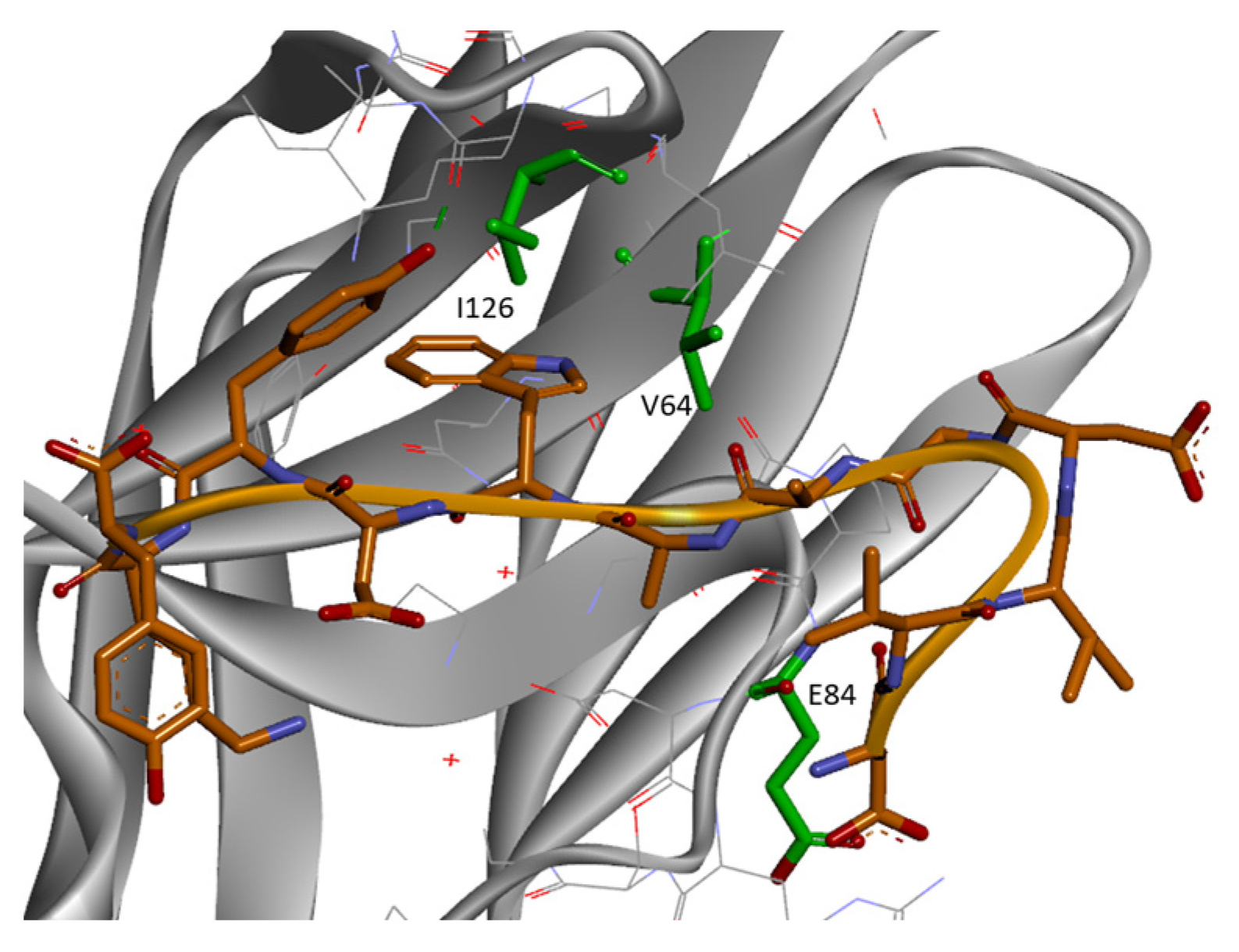 Biomolecules 14 00597 g005