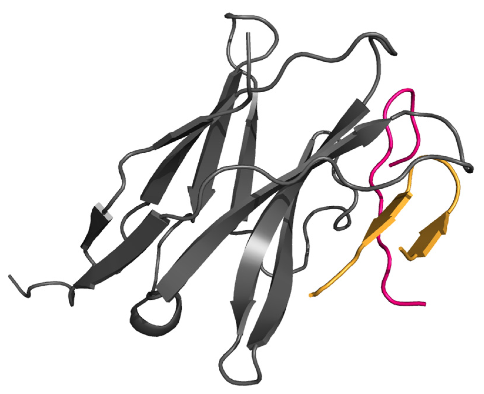 Biomolecules 14 00597 g007