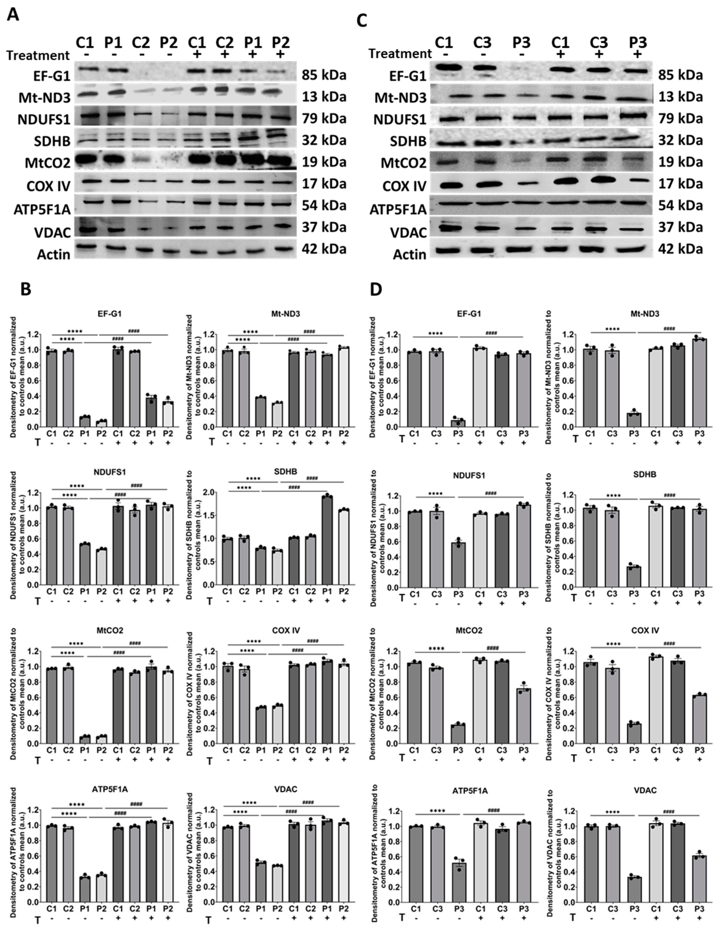 Biomolecules 14 00598 g003