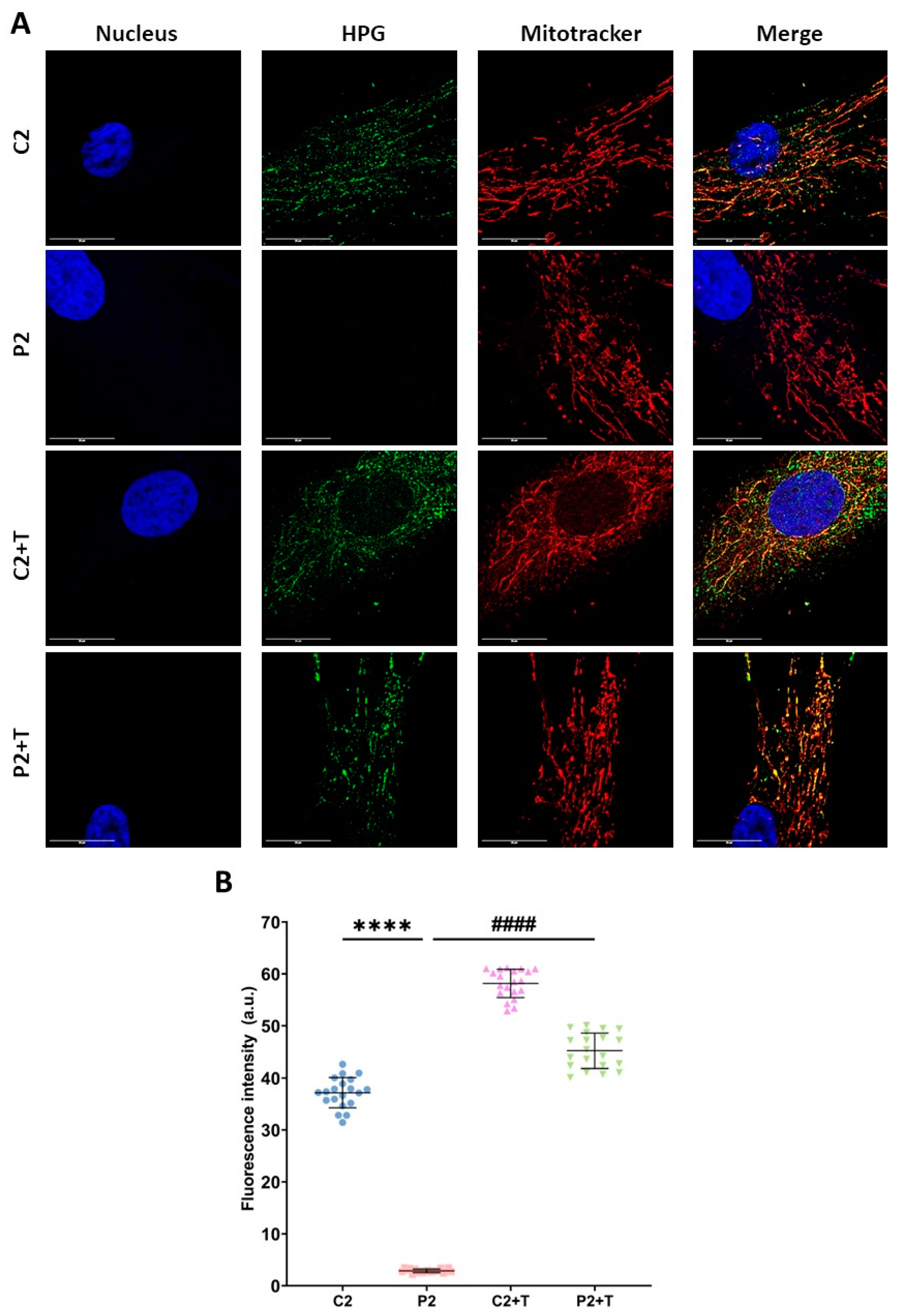 Biomolecules 14 00598 g005