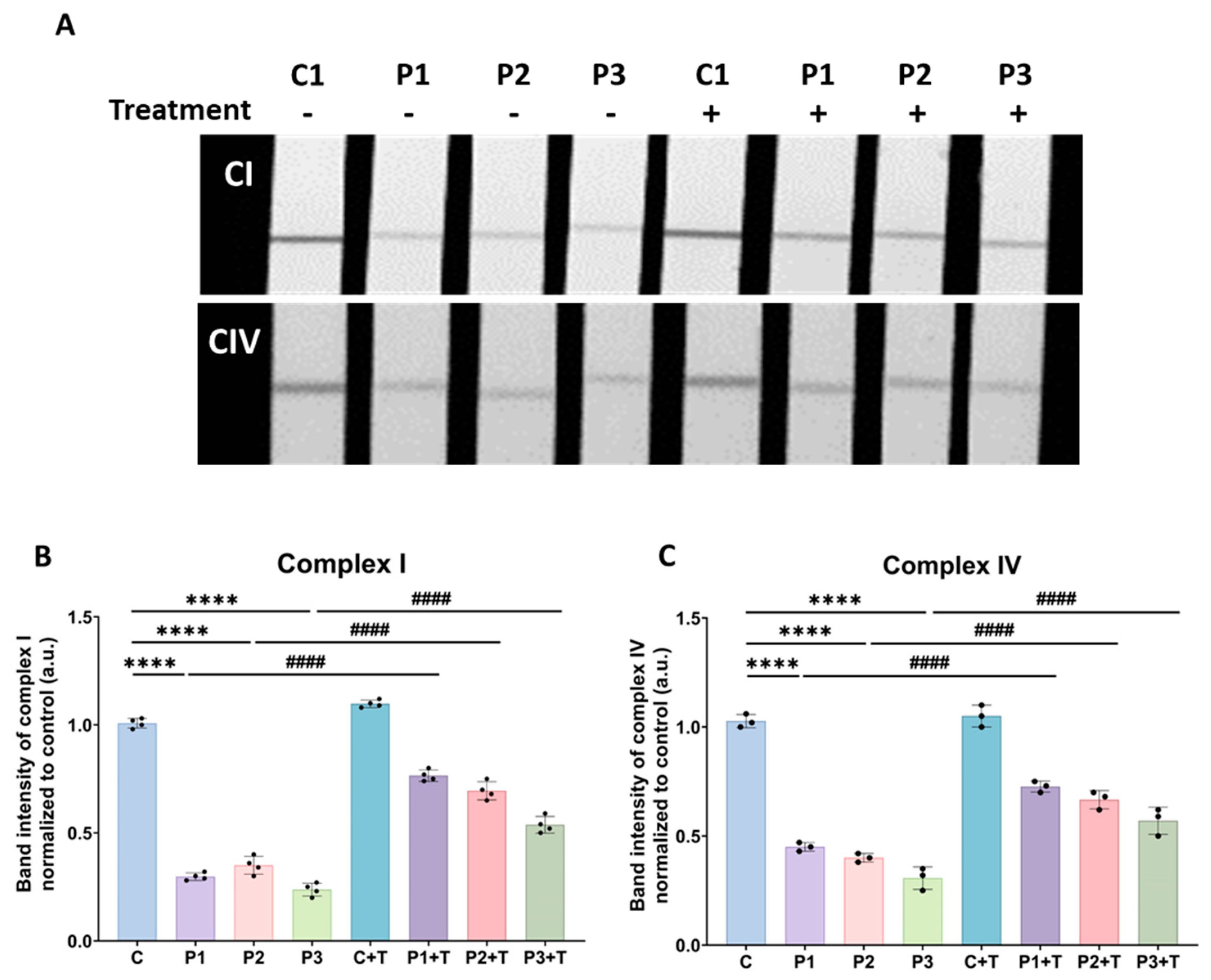 Biomolecules 14 00598 g007