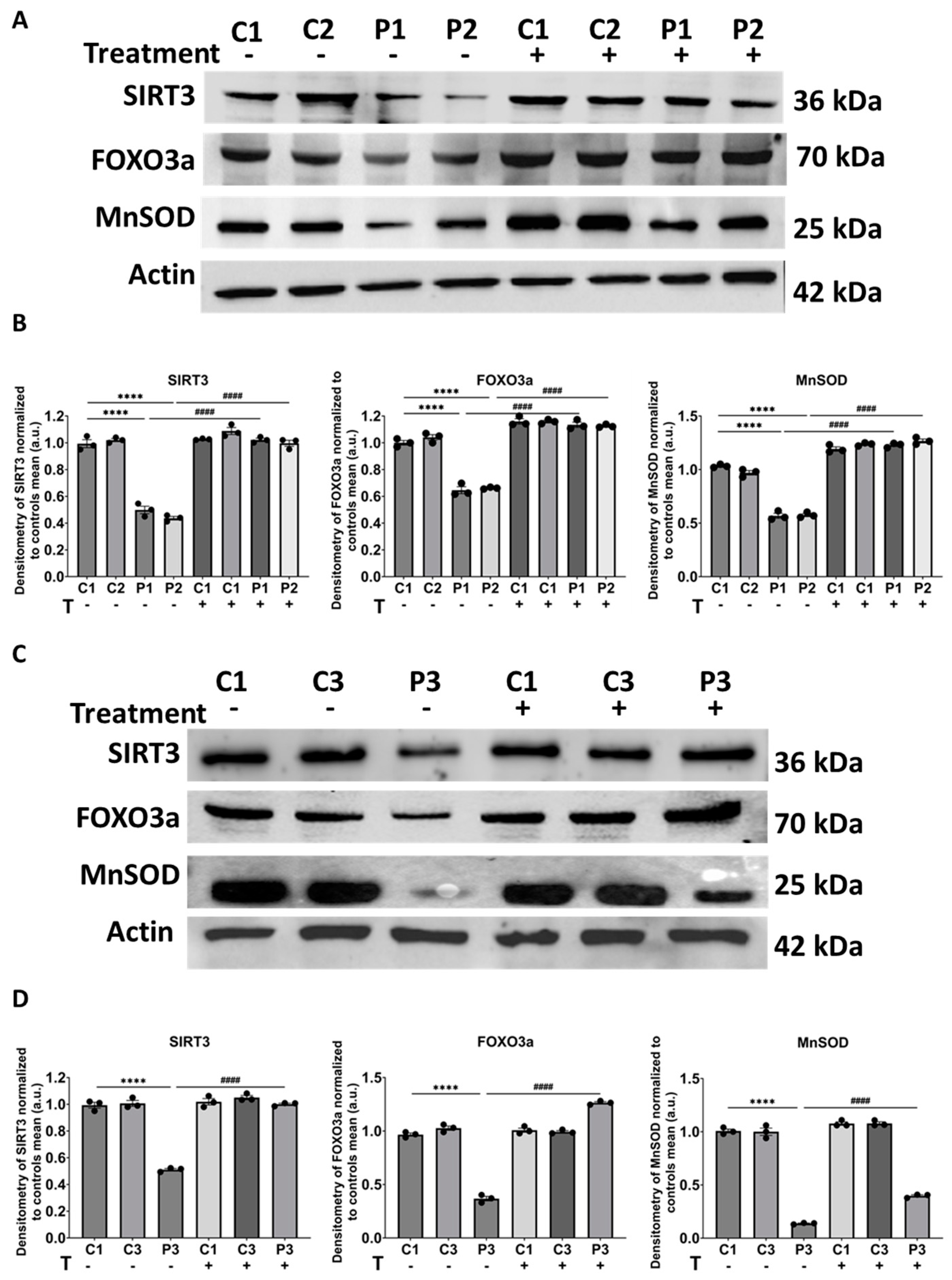 Biomolecules 14 00598 g009