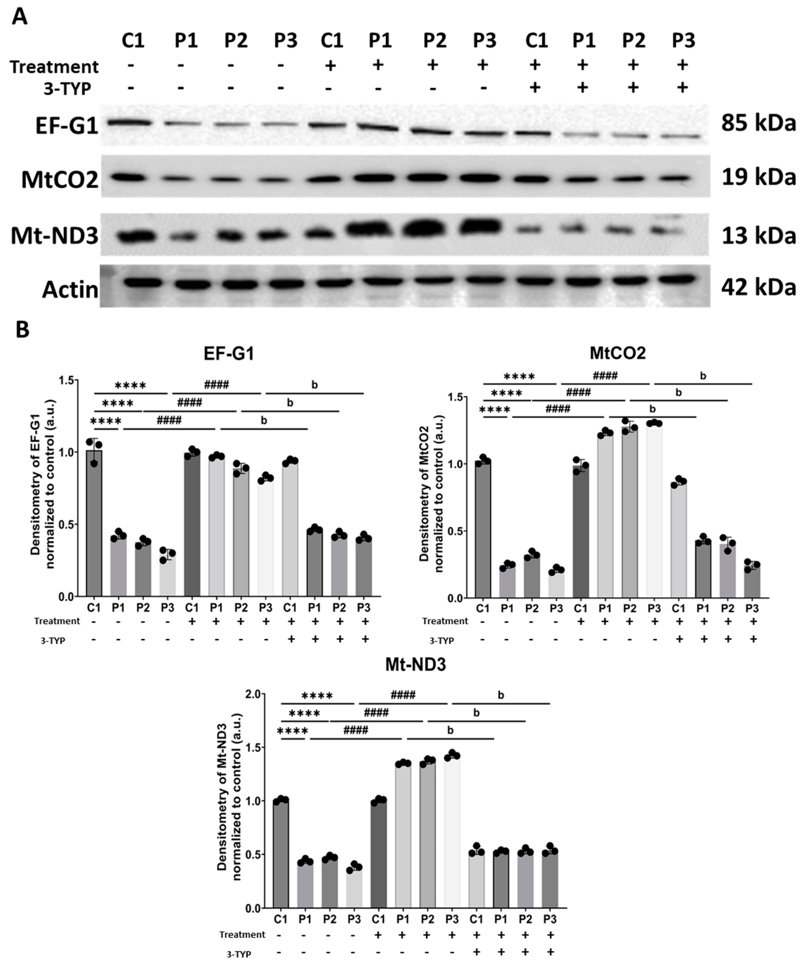 Biomolecules 14 00598 g014