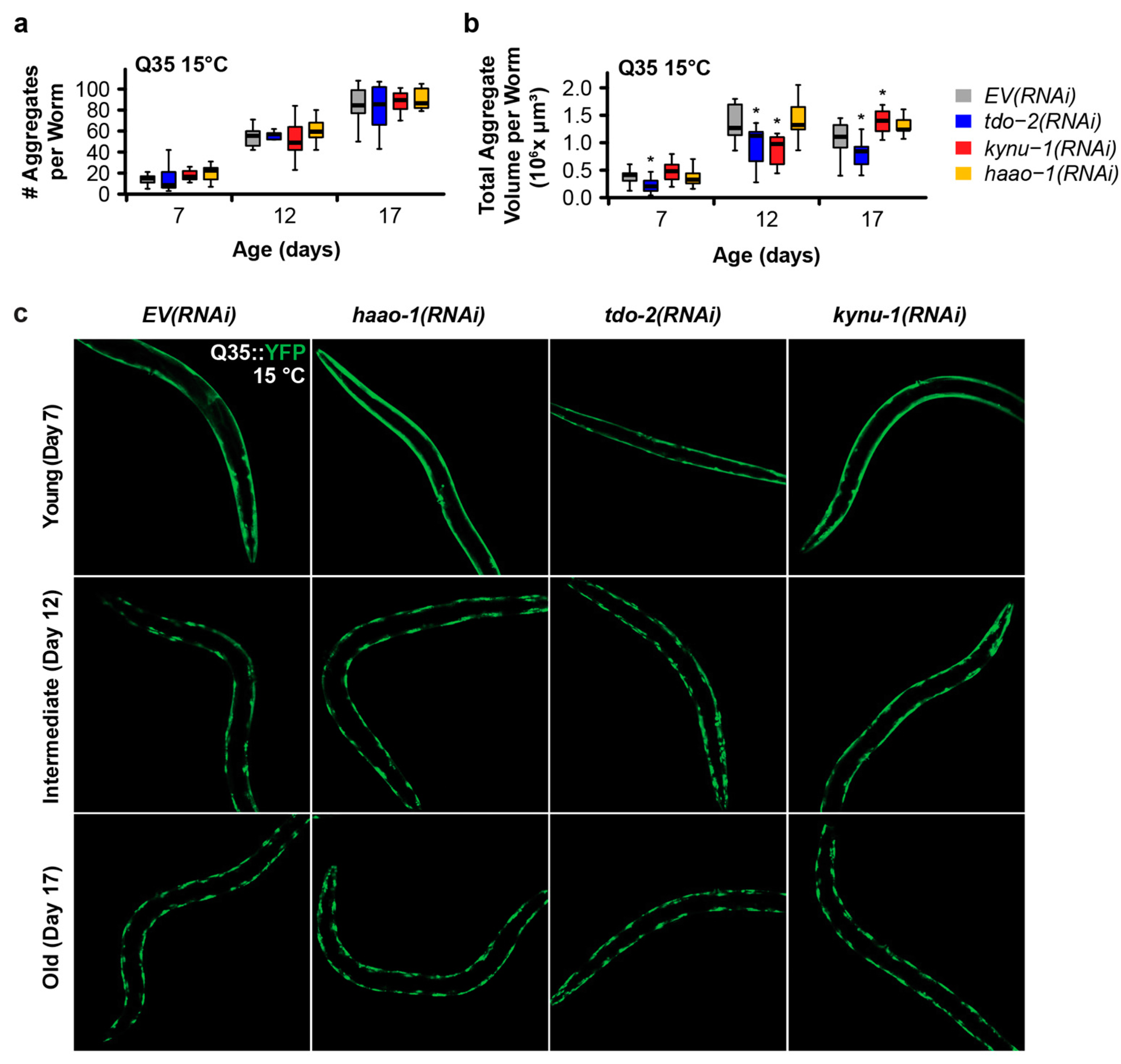 Biomolecules 14 00599 g002