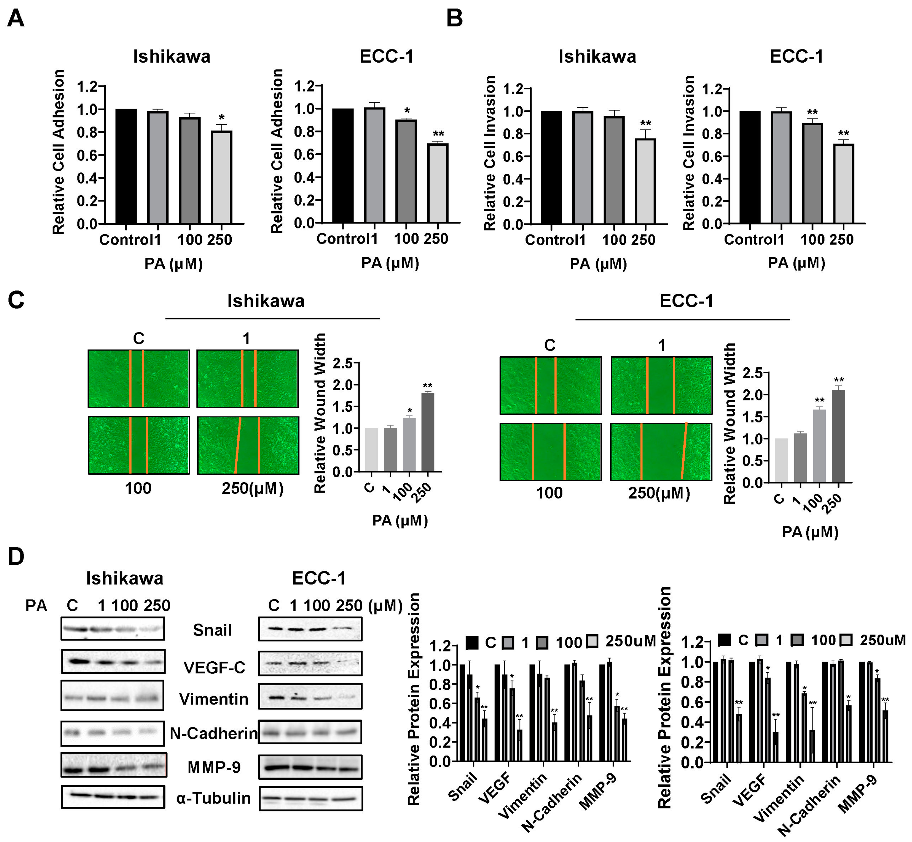 Biomolecules 14 00601 g004