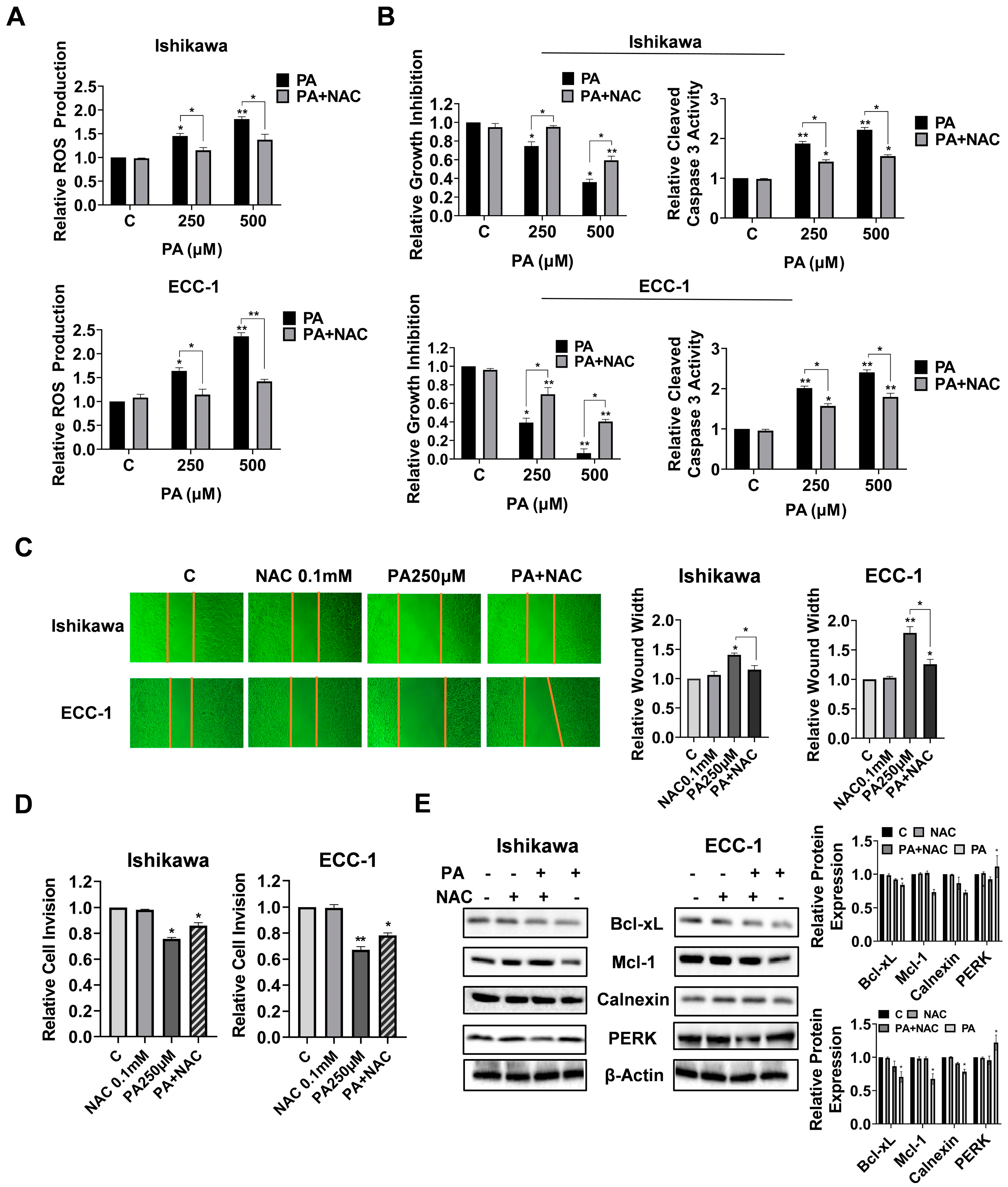 Biomolecules 14 00601 g005