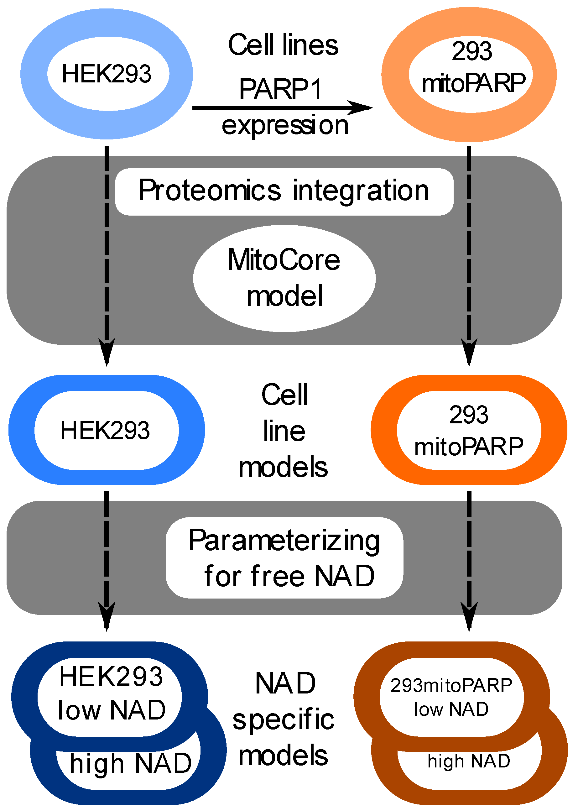 Biomolecules 14 00602 g001