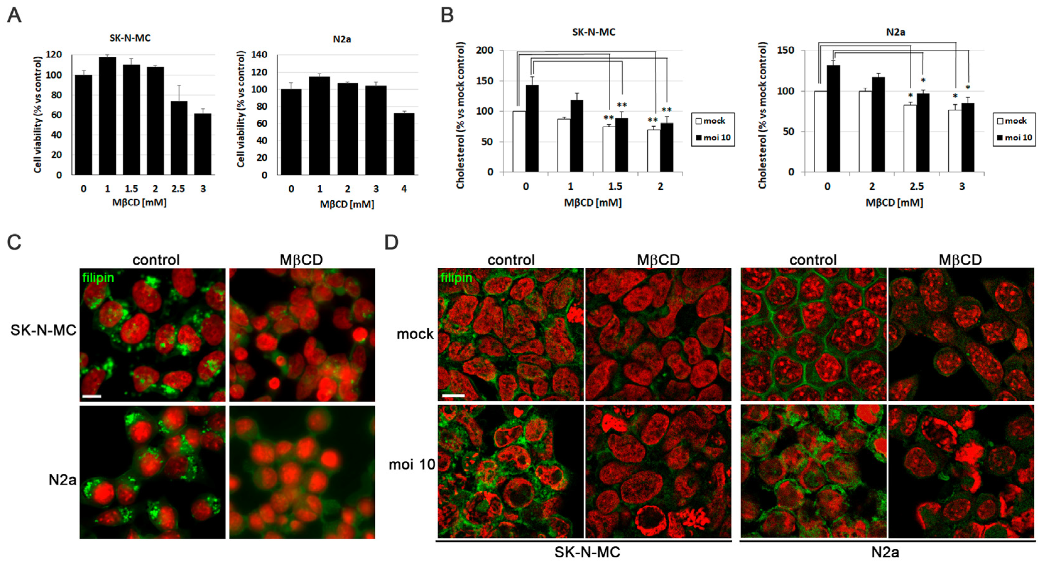 Biomolecules 14 00603 g002 Biomolecules 14 00603 g002