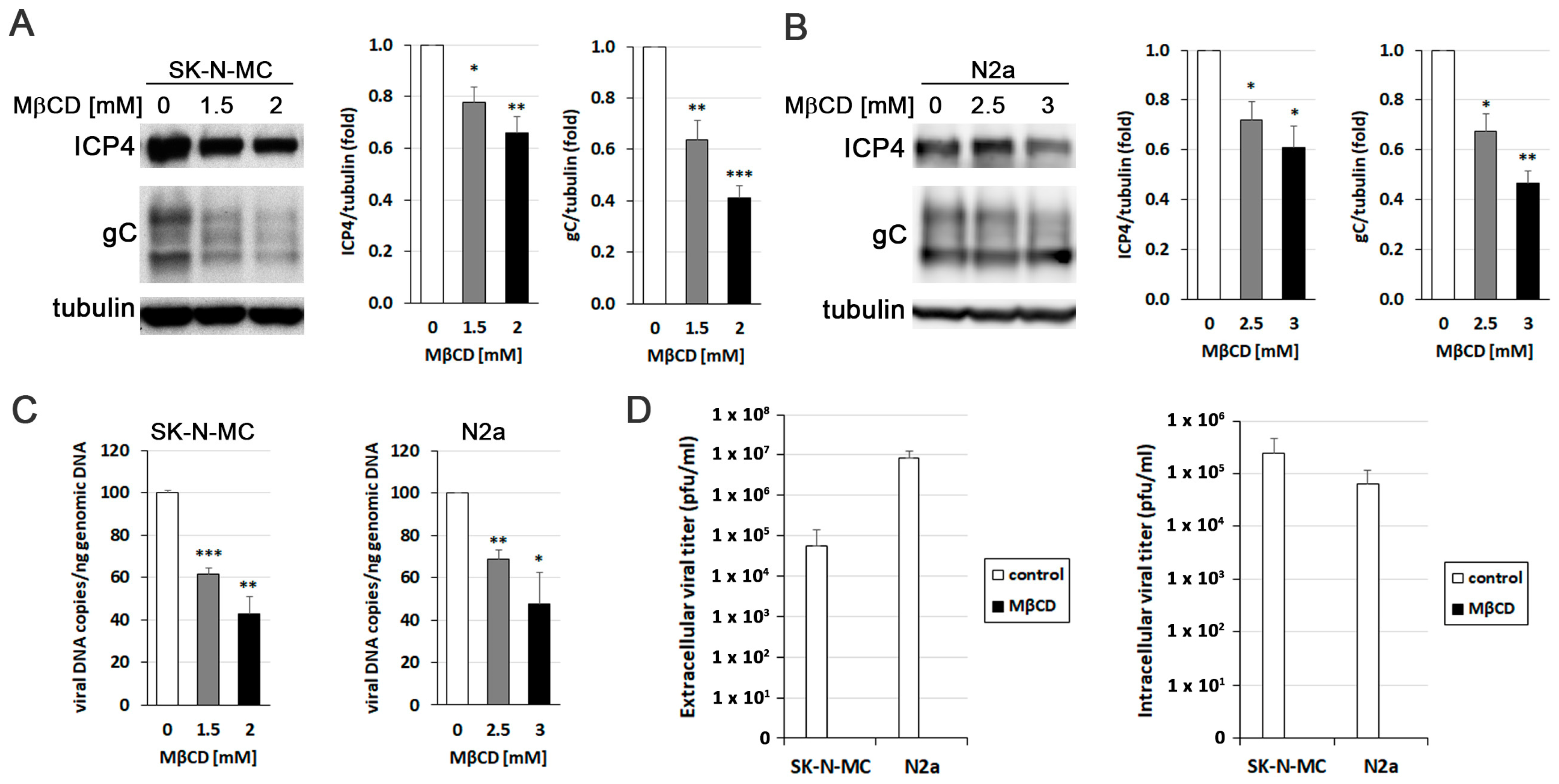 Biomolecules 14 00603 g003 Biomolecules 14 00603 g003