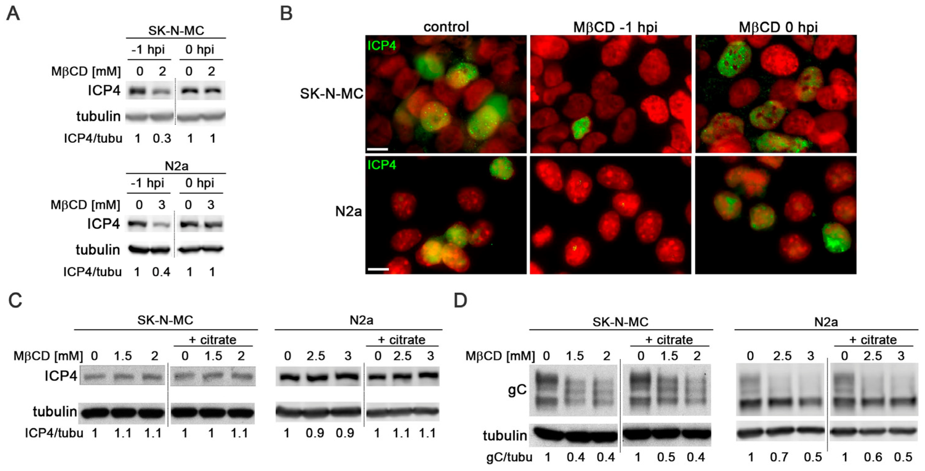Biomolecules 14 00603 g004 Biomolecules 14 00603 g004