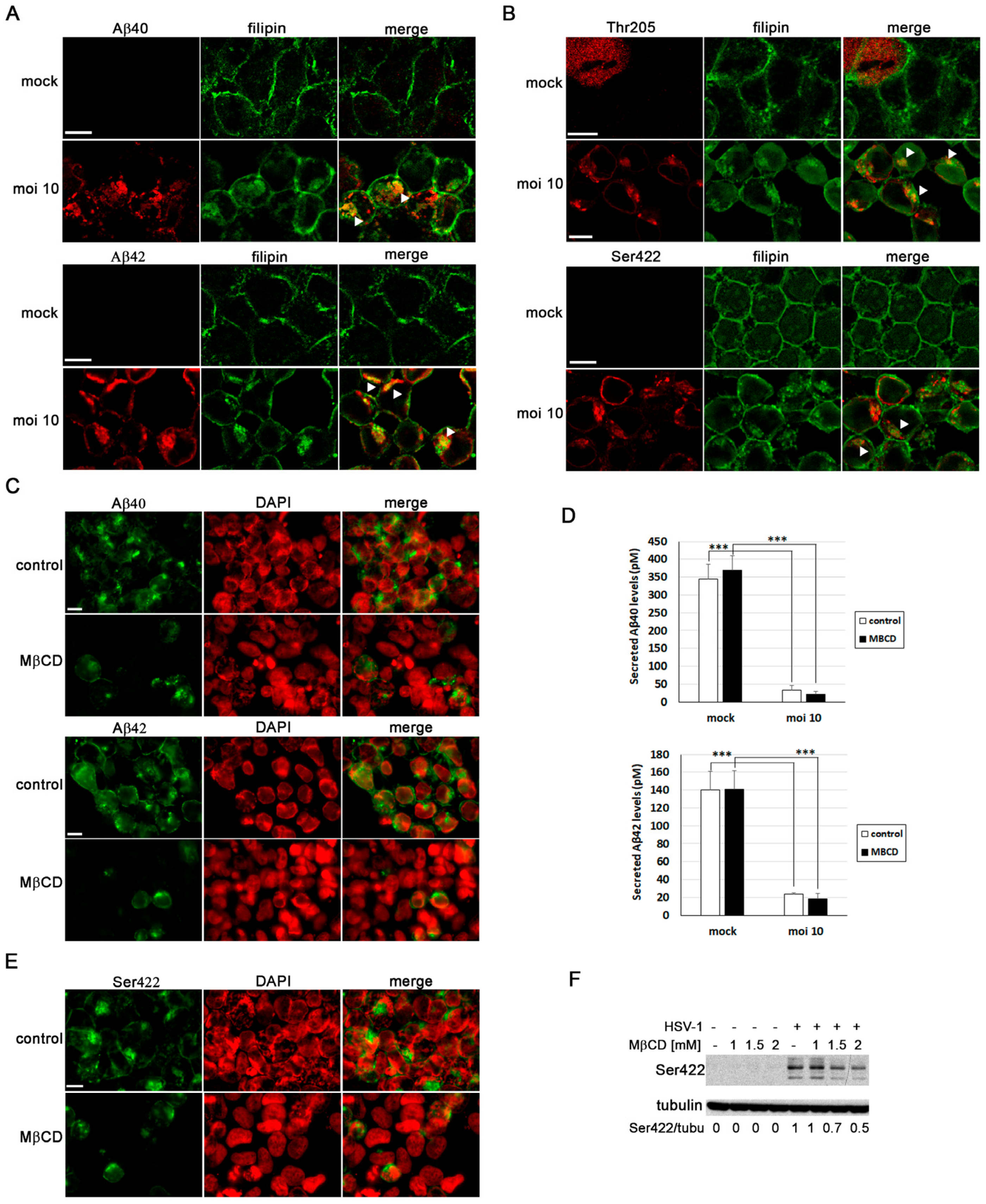 Biomolecules 14 00603 g006 Biomolecules 14 00603 g006