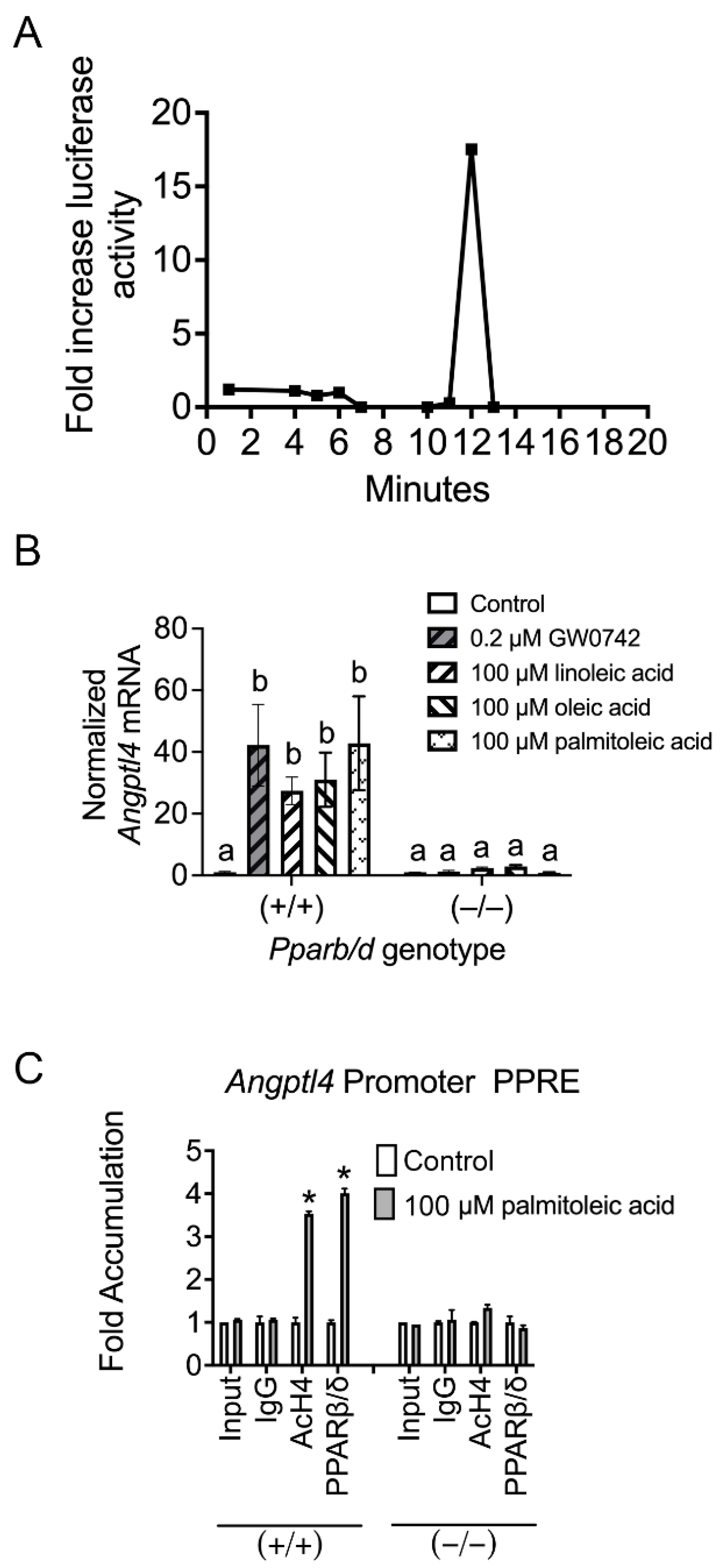 Biomolecules 14 00606 g001