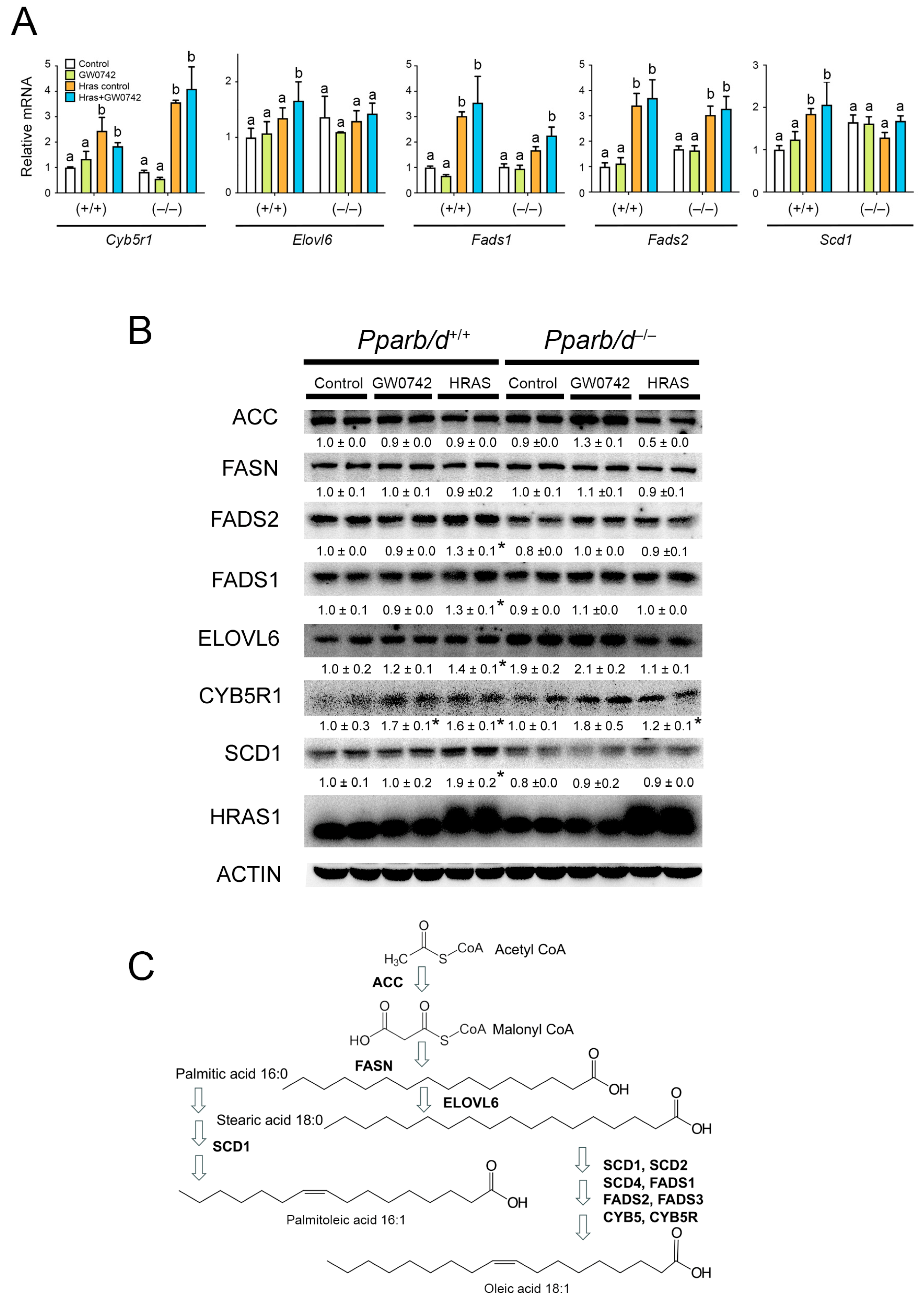 Biomolecules 14 00606 g004