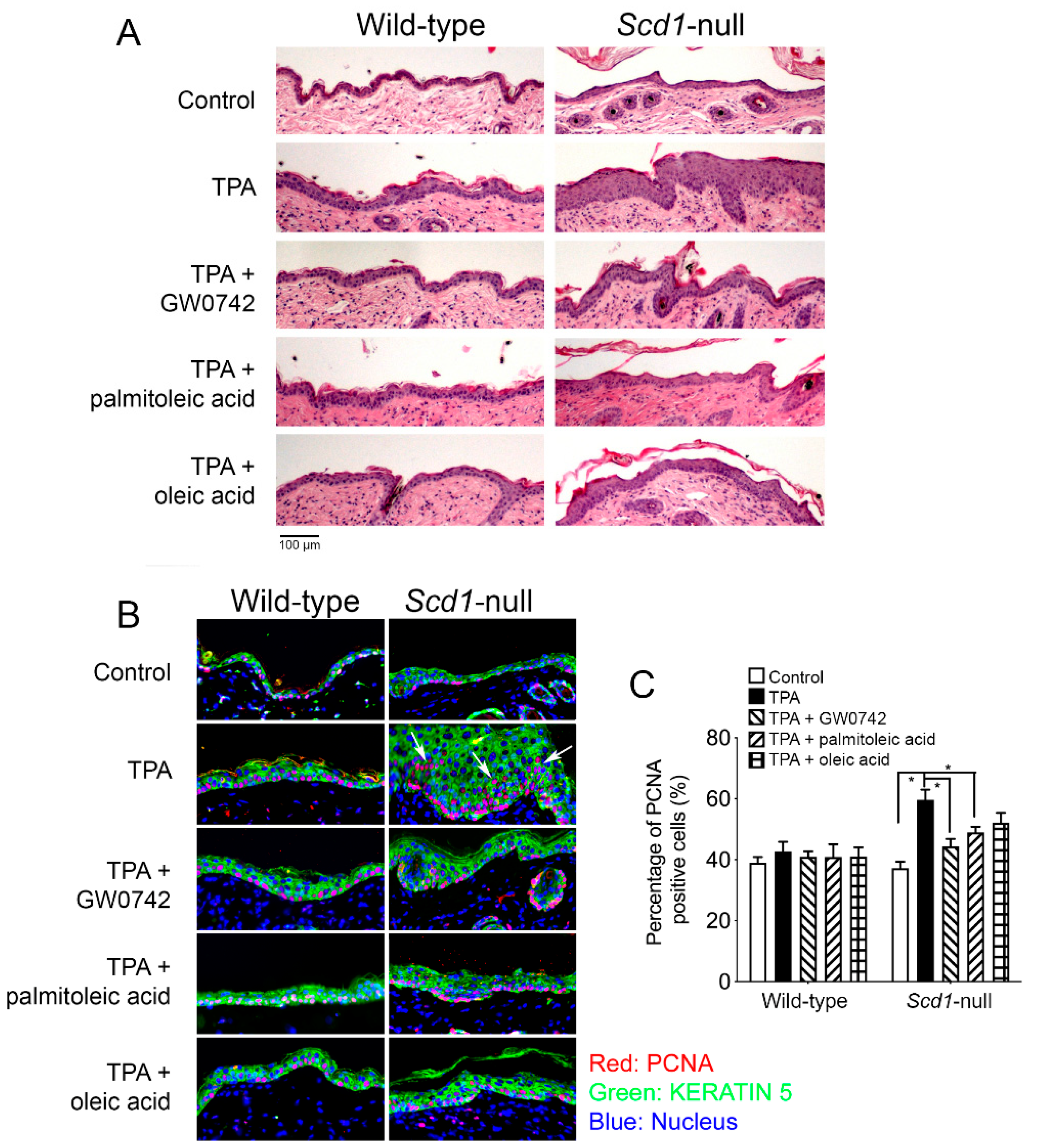 Biomolecules 14 00606 g008