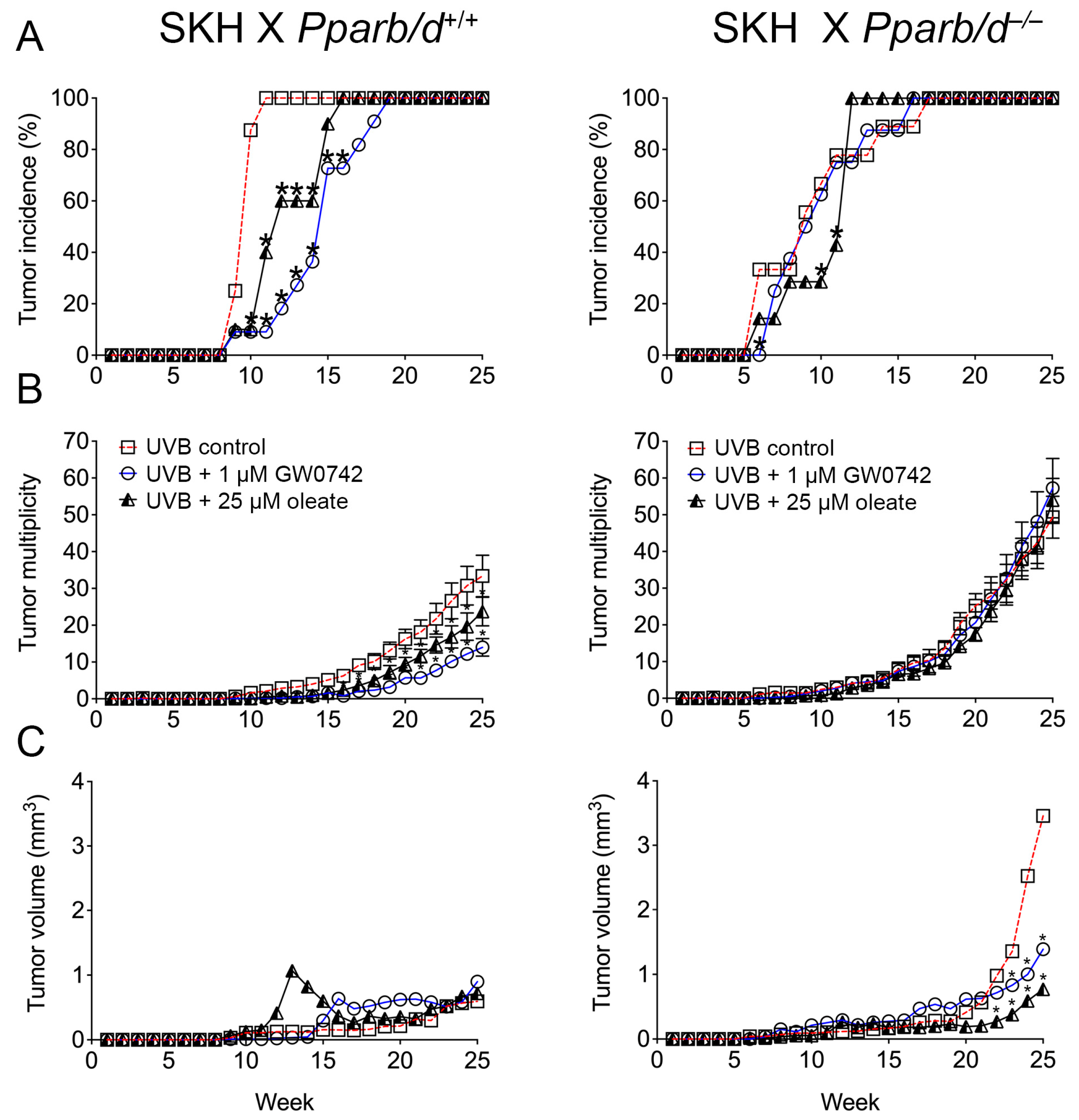 Biomolecules 14 00606 g009