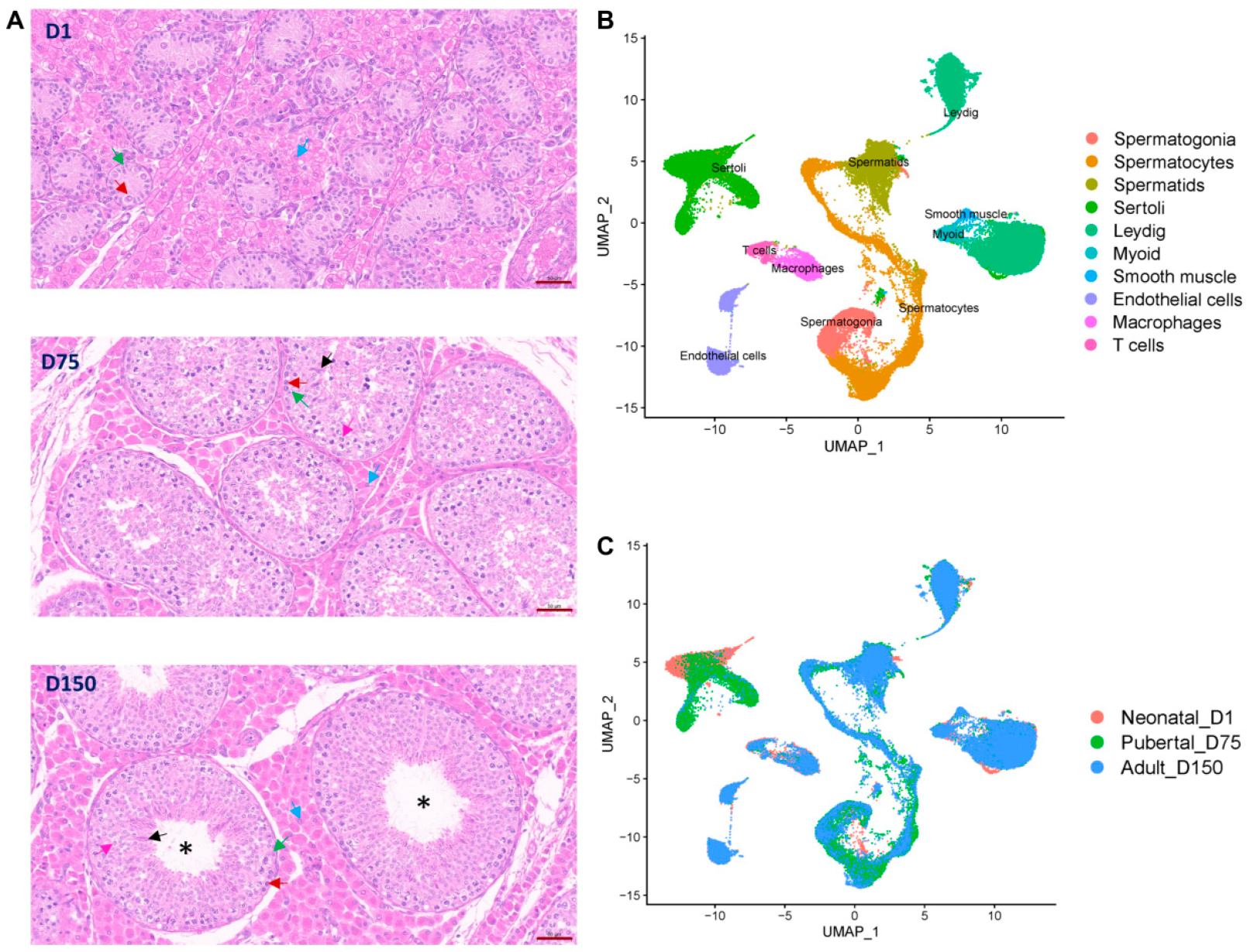 Biomolecules 14 00607 g001