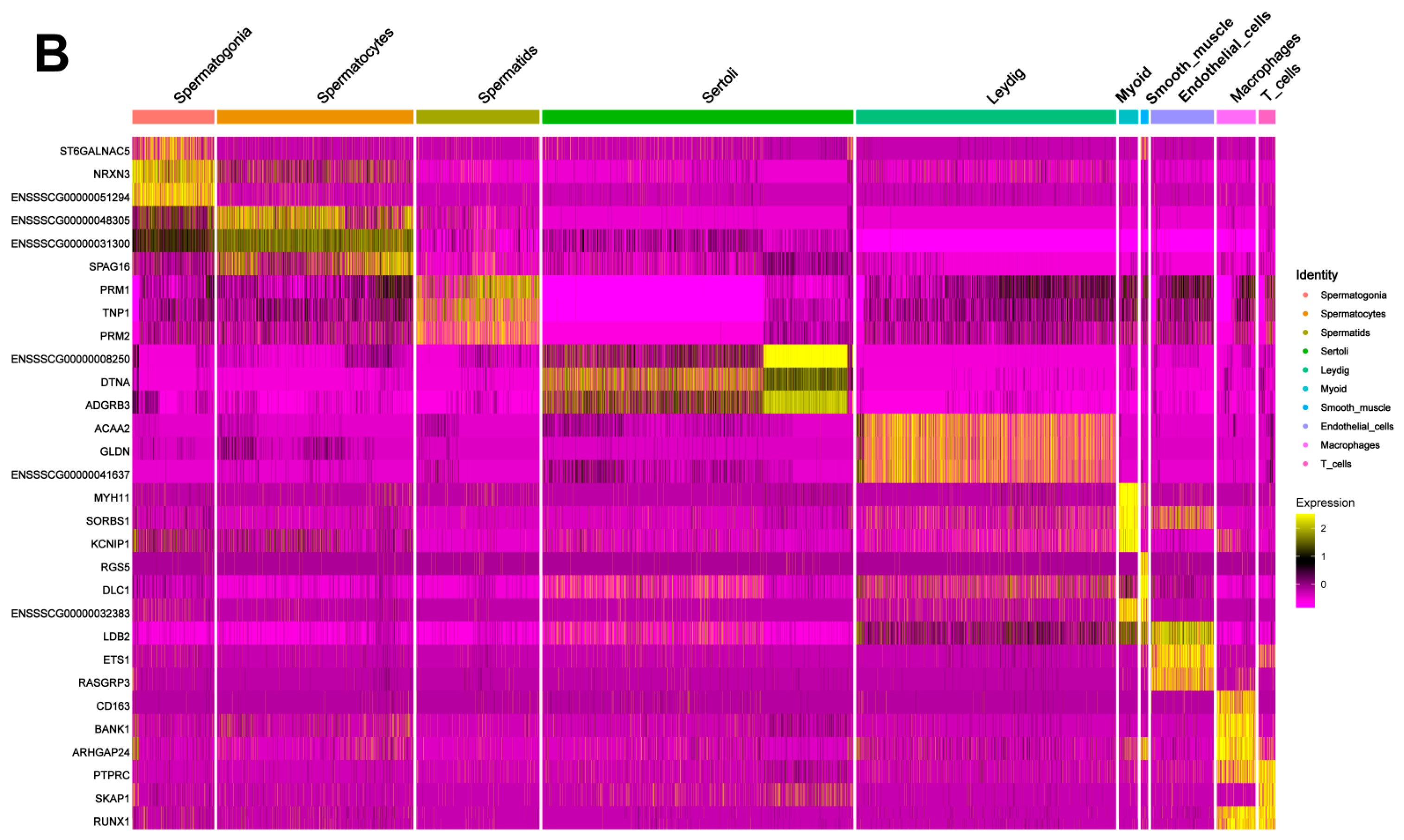Biomolecules 14 00607 g002b