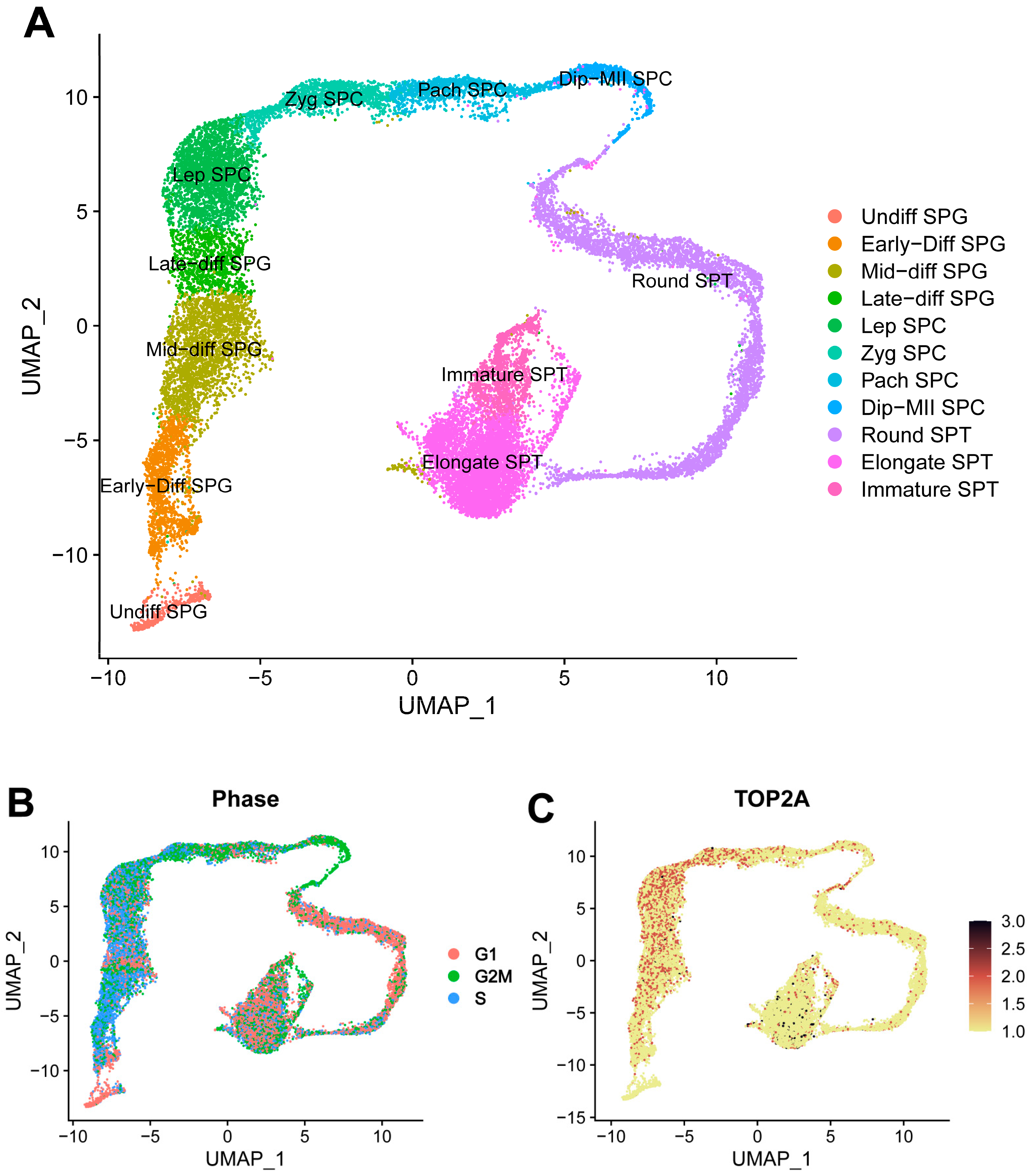 Biomolecules 14 00607 g003