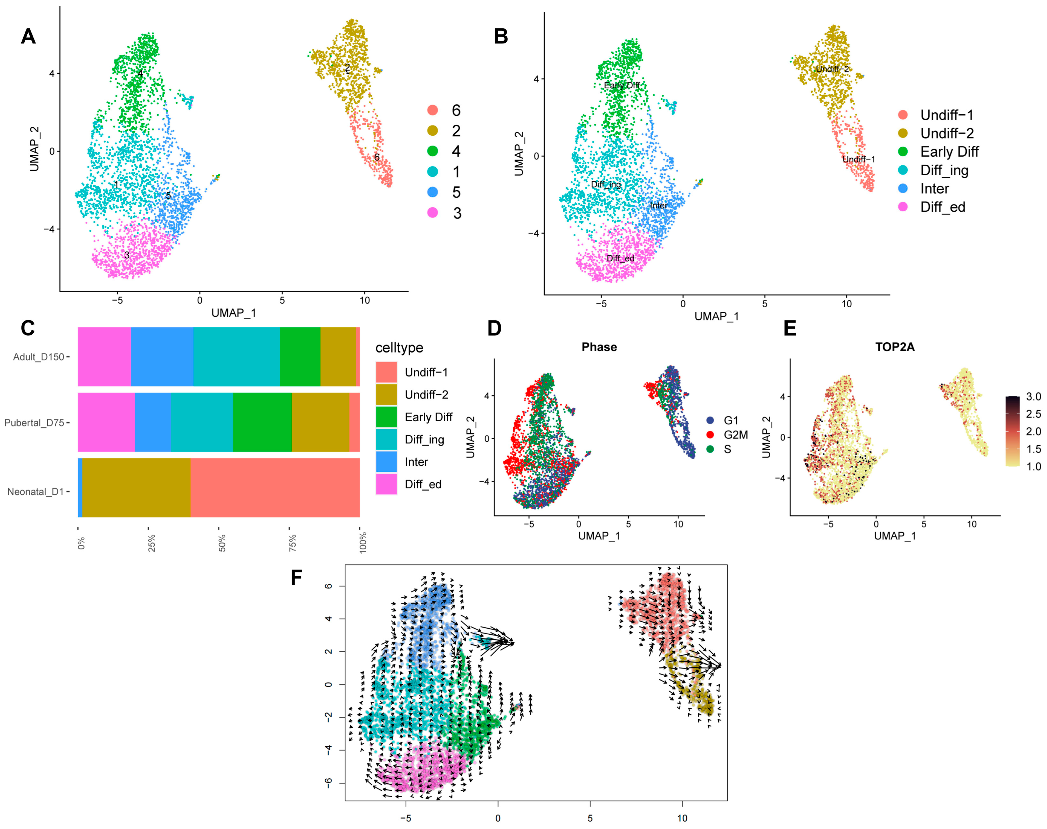 Biomolecules 14 00607 g004