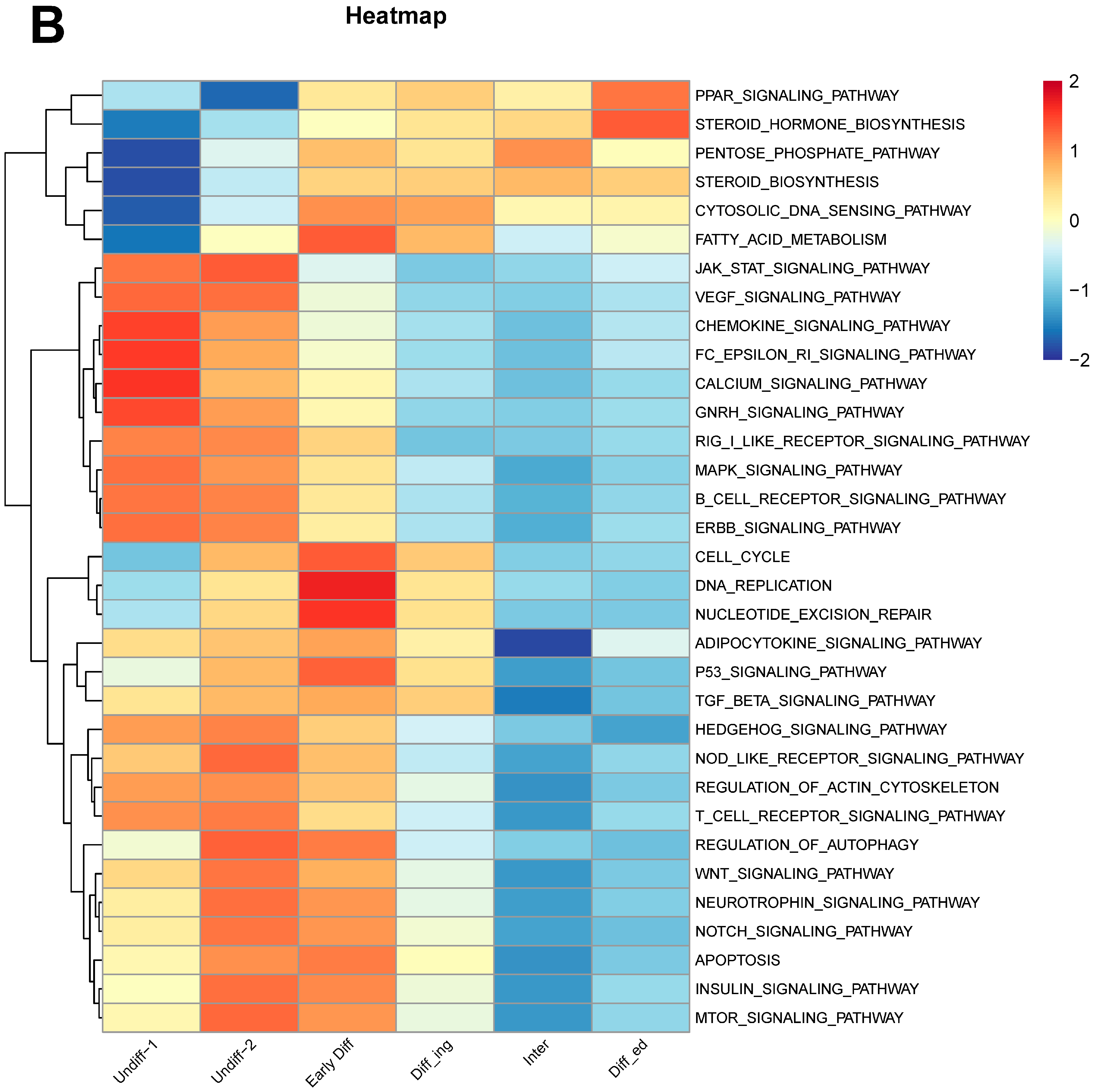 Biomolecules 14 00607 g005b