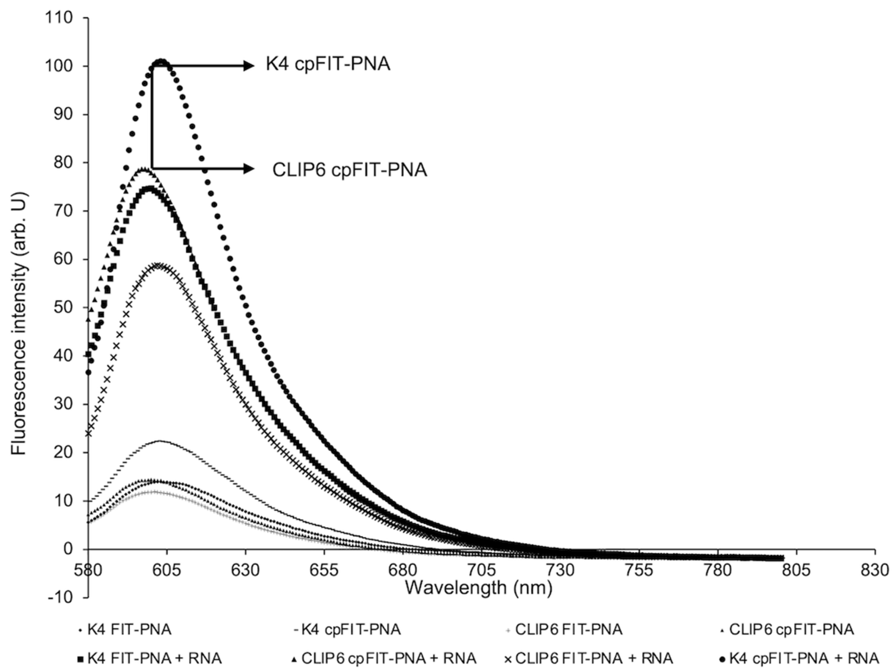 Biomolecules 14 00609 g001