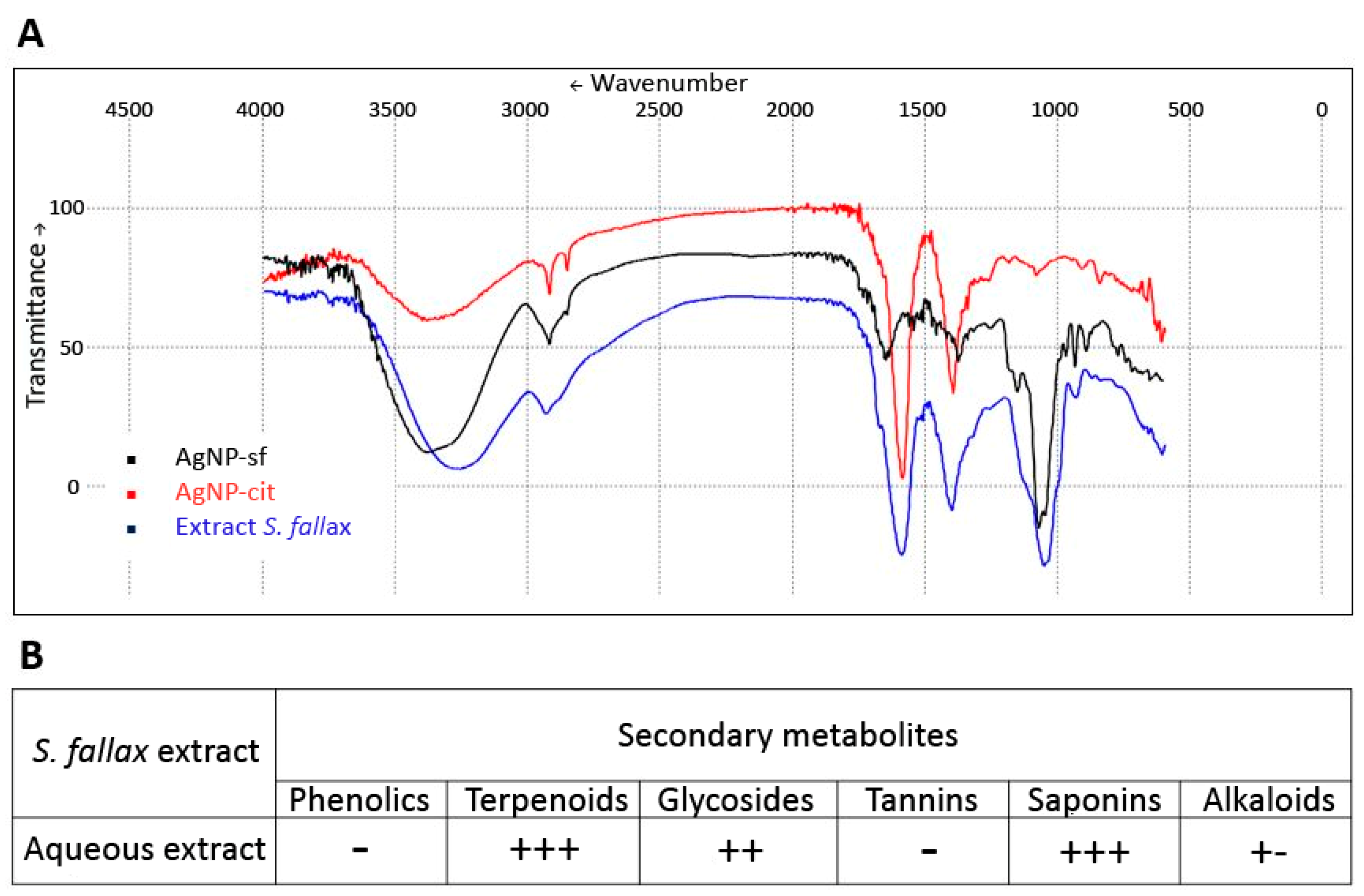 Biomolecules 14 00611 g001
