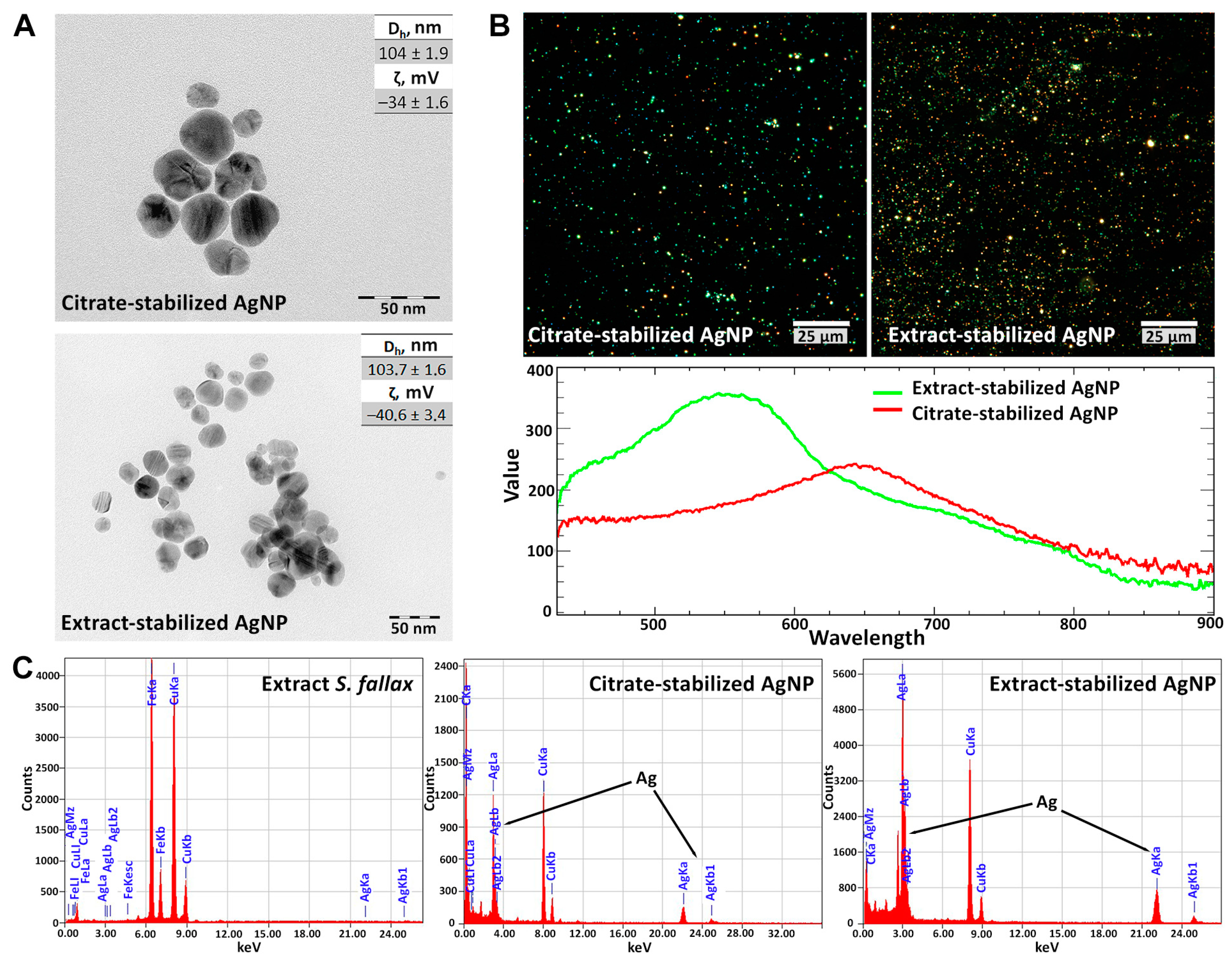 Biomolecules 14 00611 g002