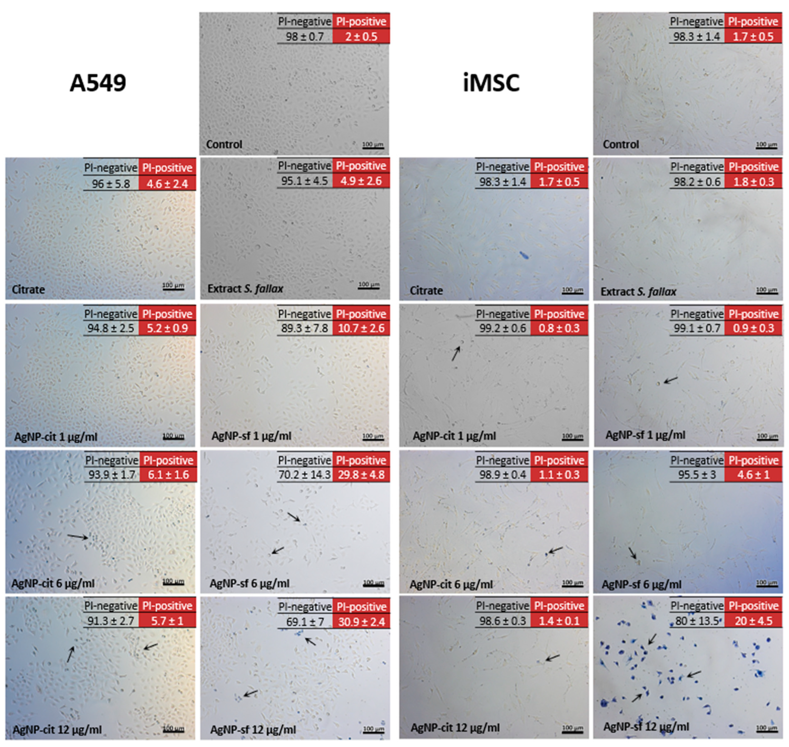Biomolecules 14 00611 g004