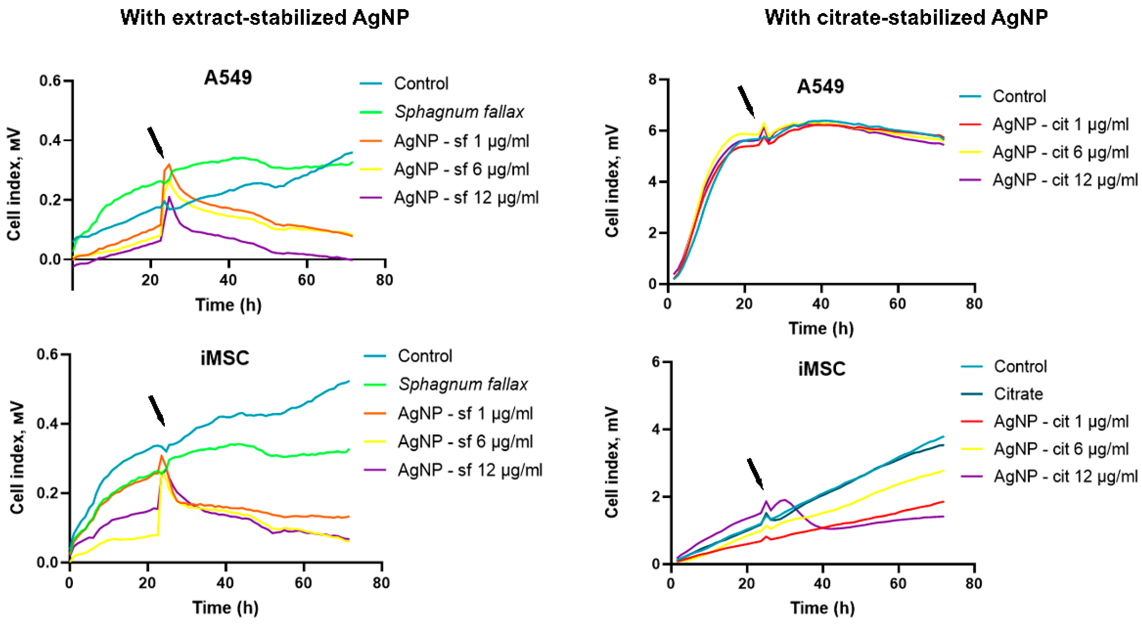 Biomolecules 14 00611 g005