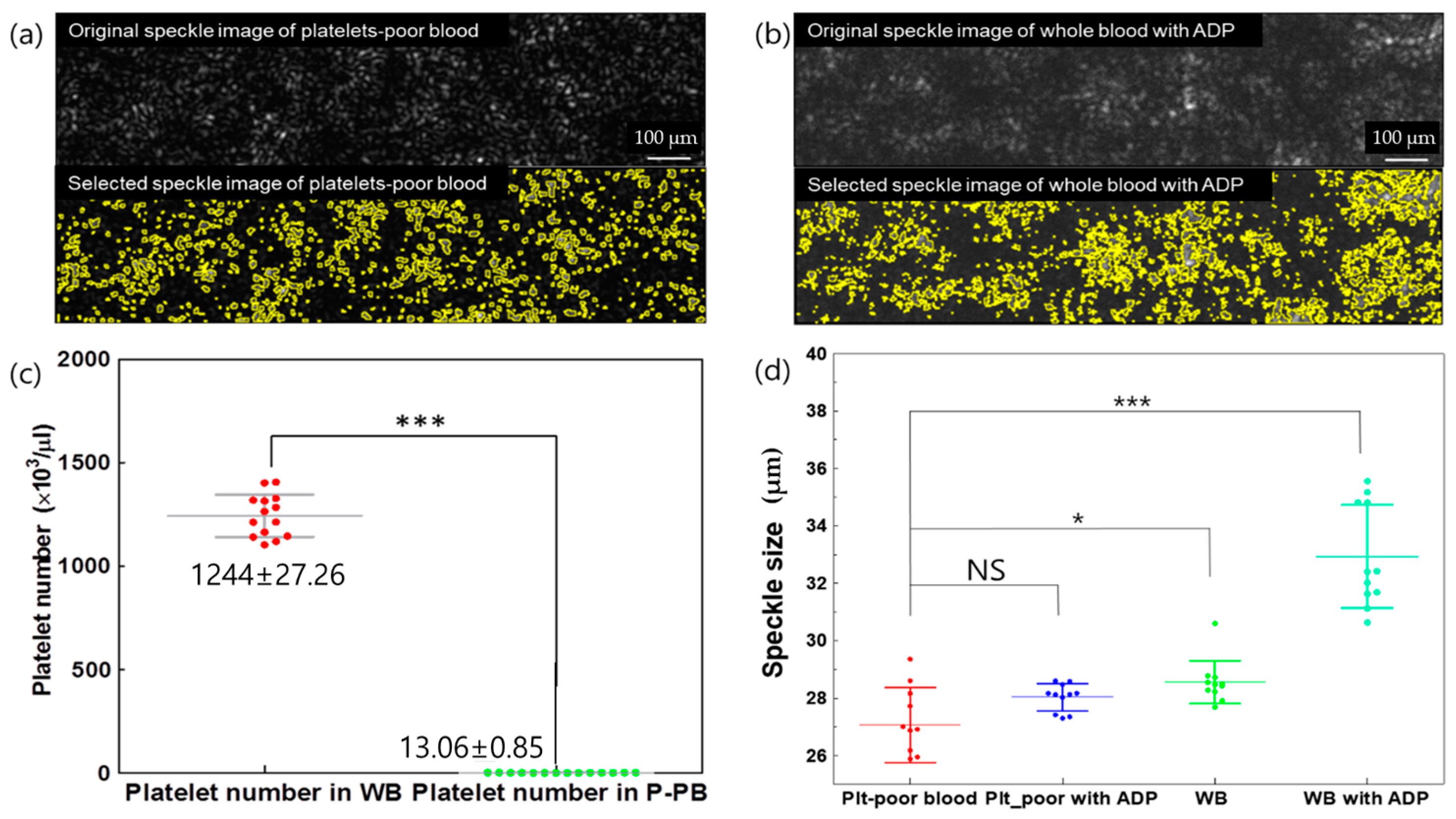Biomolecules 14 00612 g004 Biomolecules 14 00612 g004
