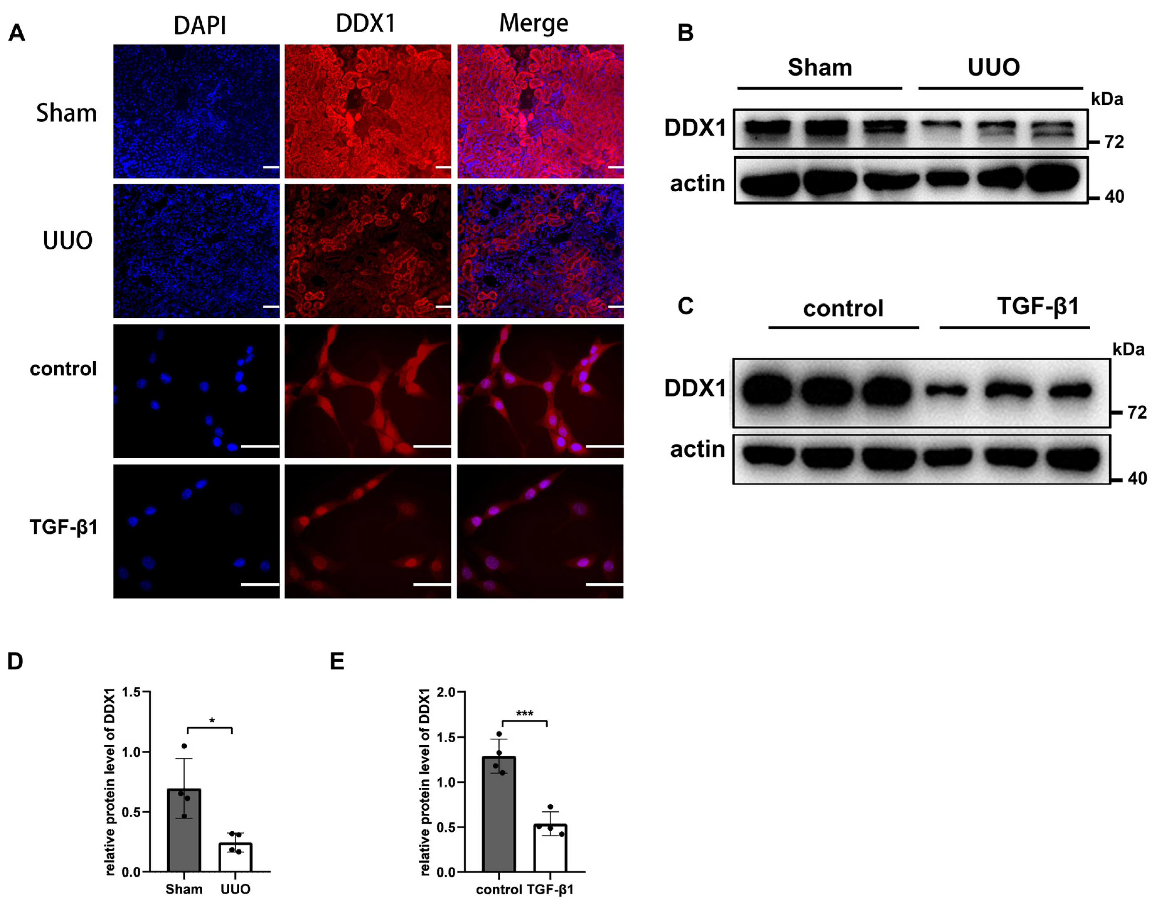 Biomolecules 14 00613 g006