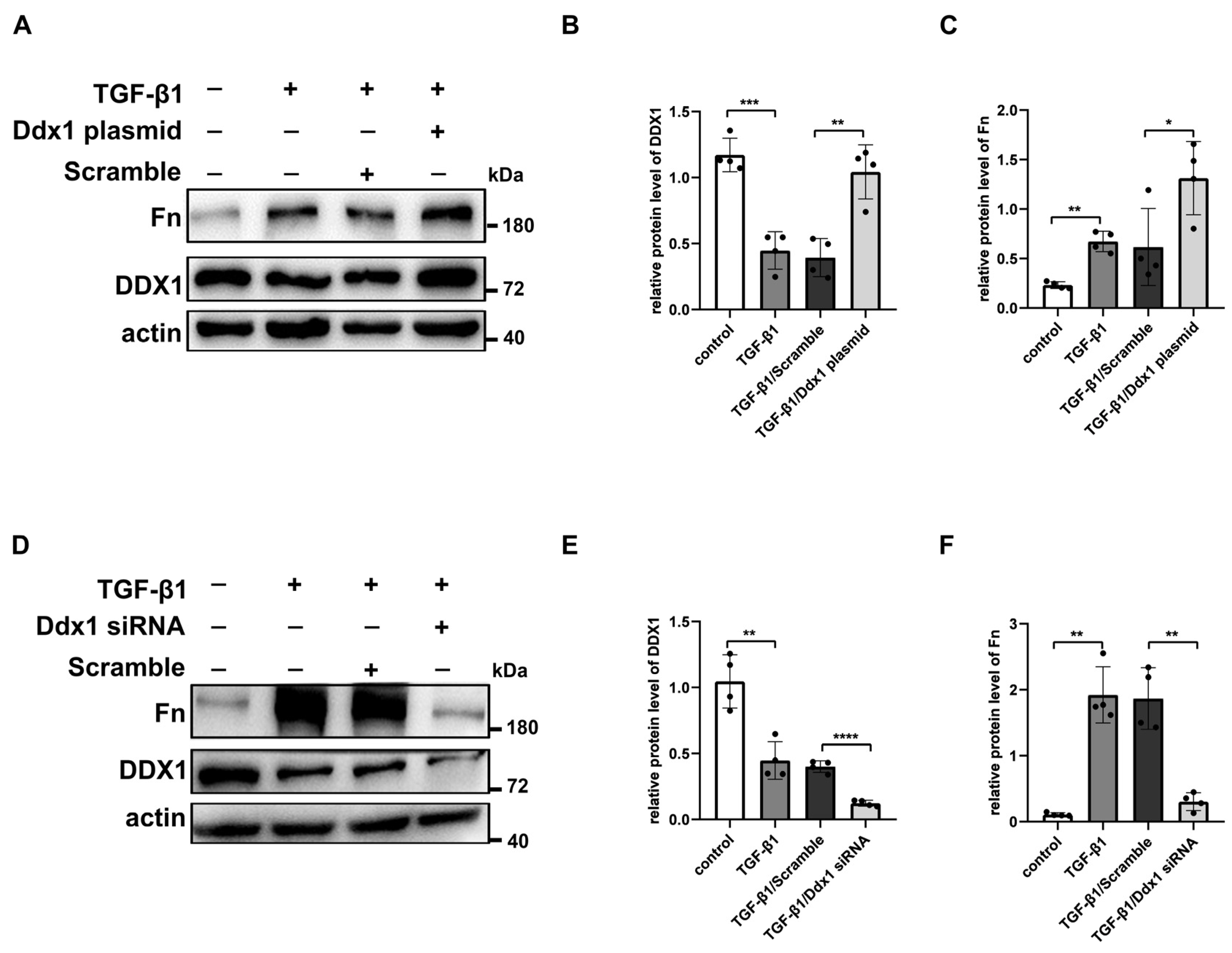 Biomolecules 14 00613 g008