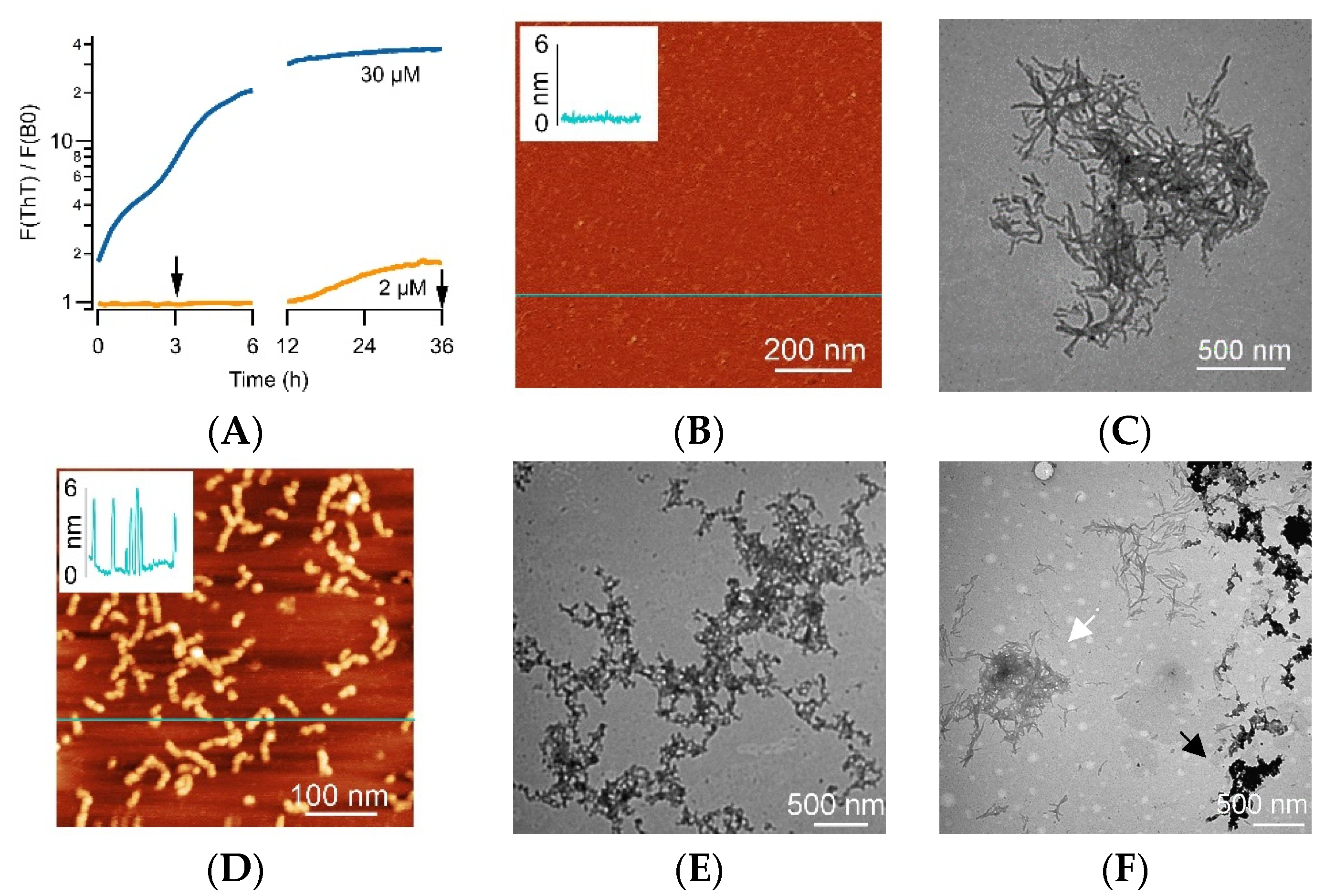 Biomolecules 14 00615 g003