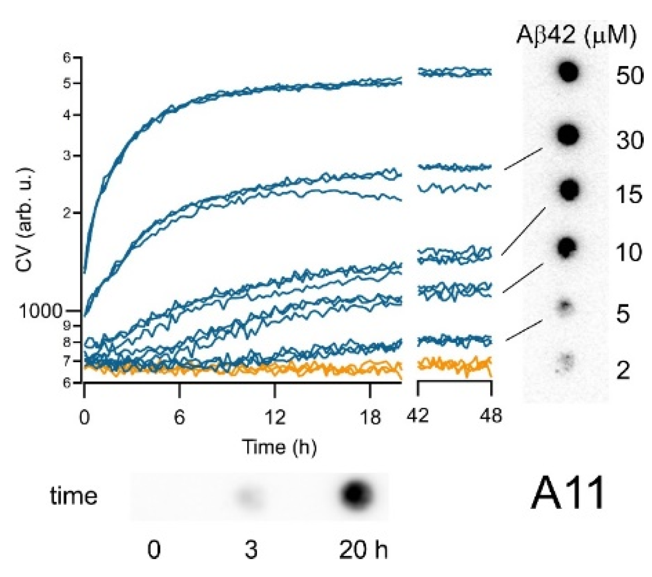 Biomolecules 14 00615 g004