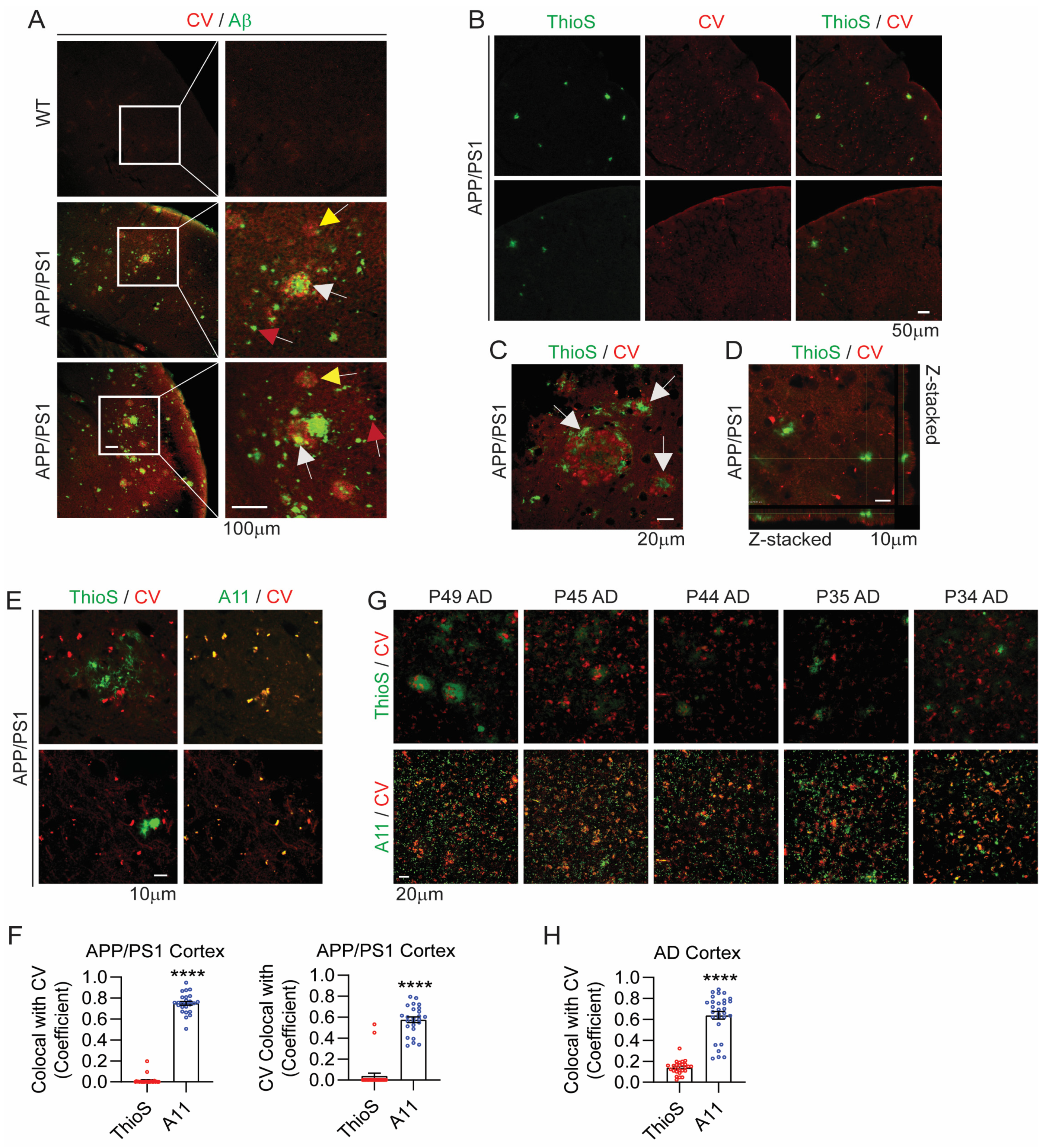 Biomolecules 14 00615 g005