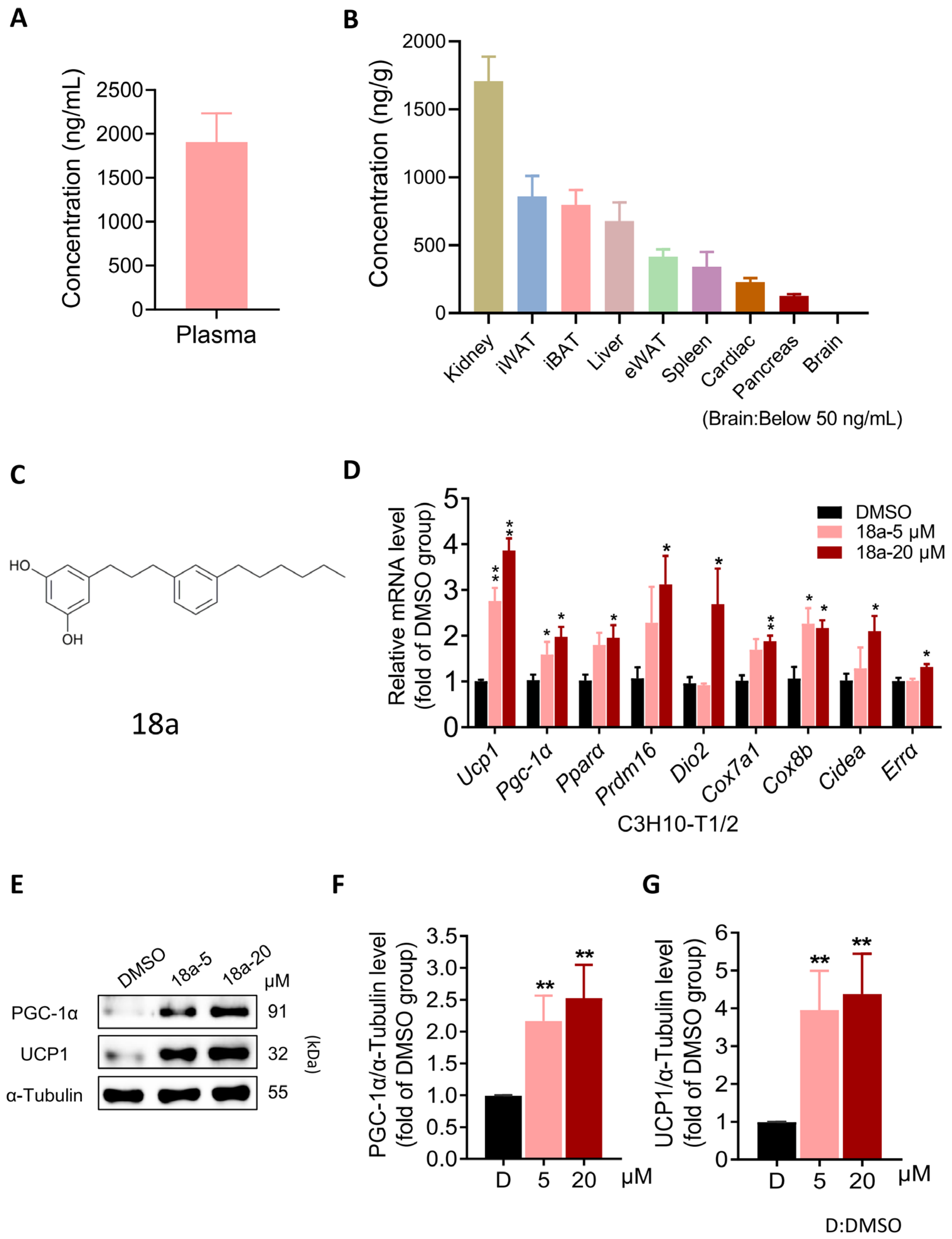 Biomolecules 14 00618 g001