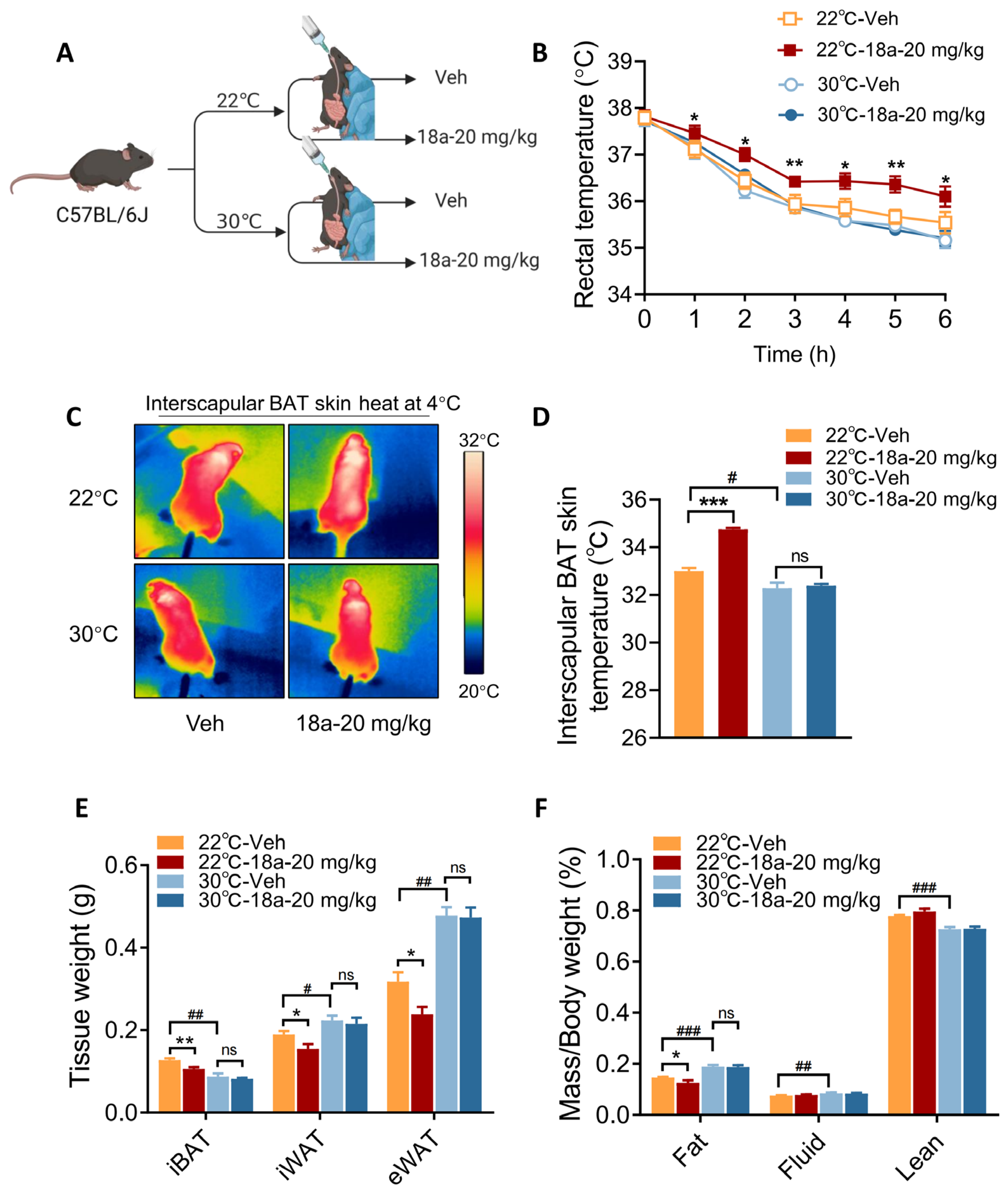 Biomolecules 14 00618 g004