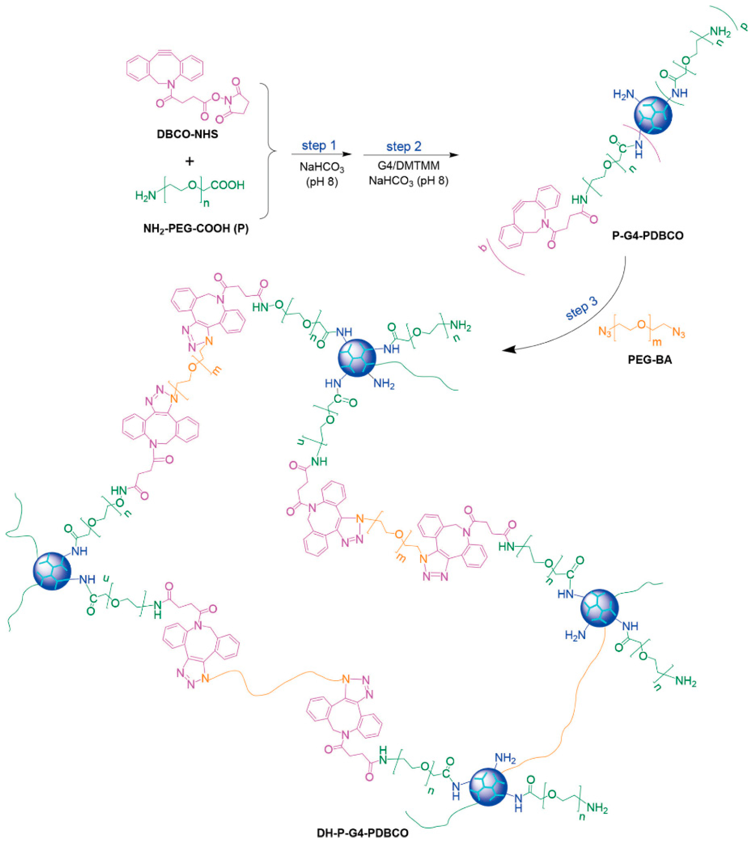 Biomolecules 14 00620 g002