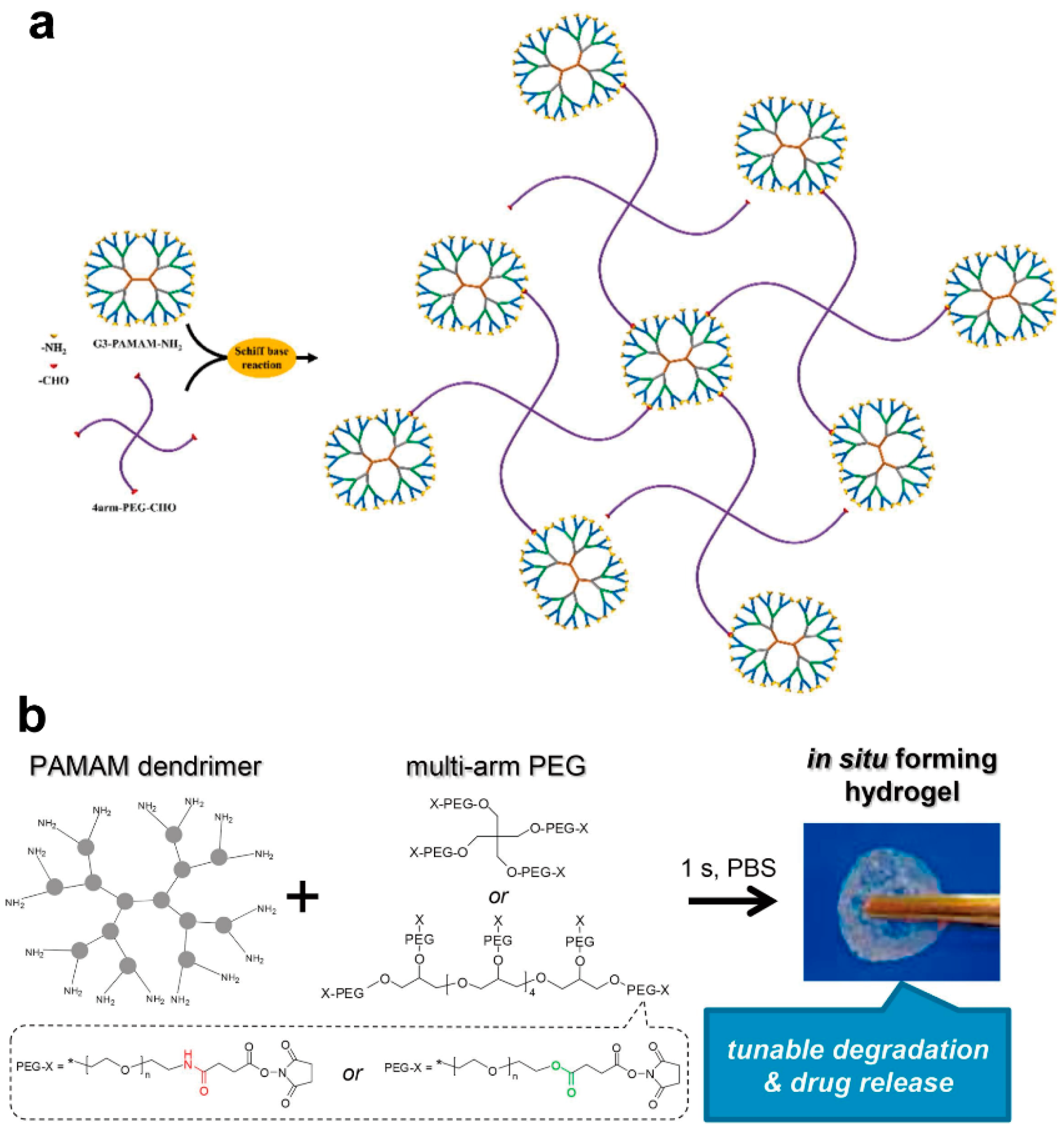 Biomolecules 14 00620 g004