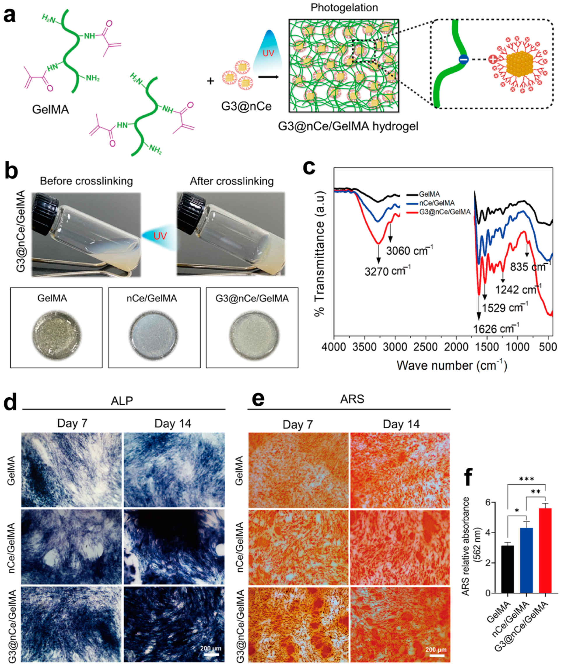 Biomolecules 14 00620 g006