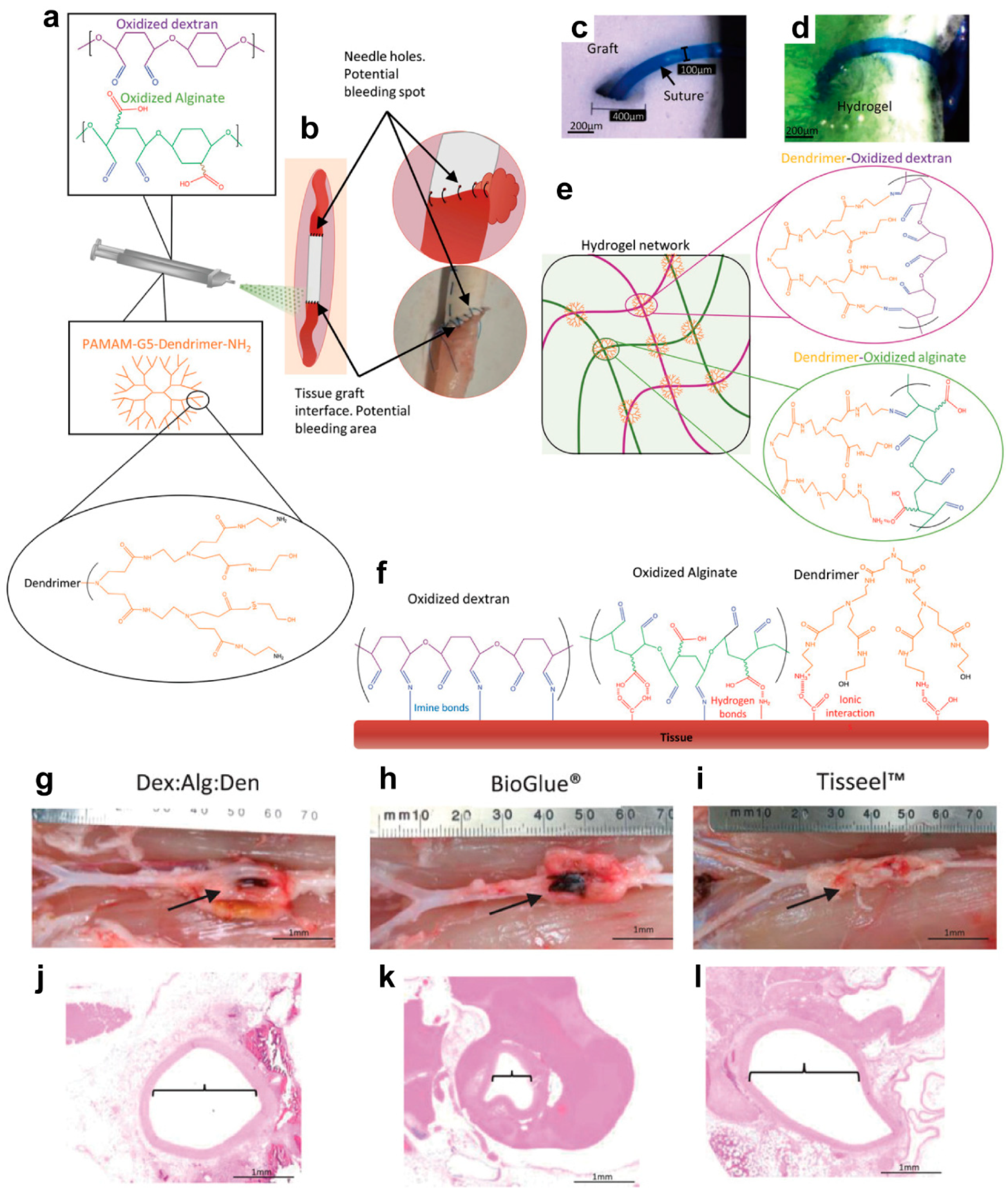 Biomolecules 14 00620 g007