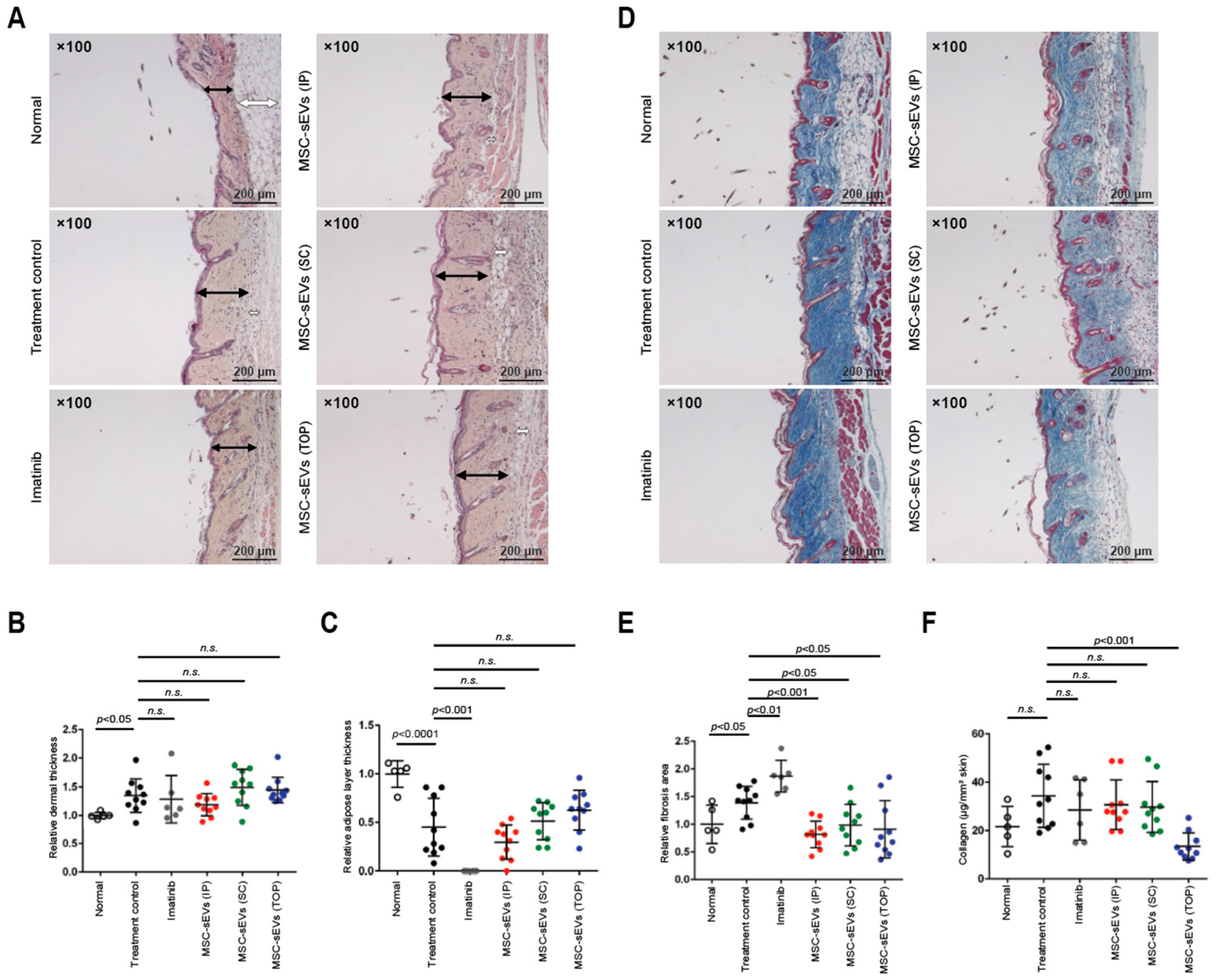Biomolecules 14 00622 g001