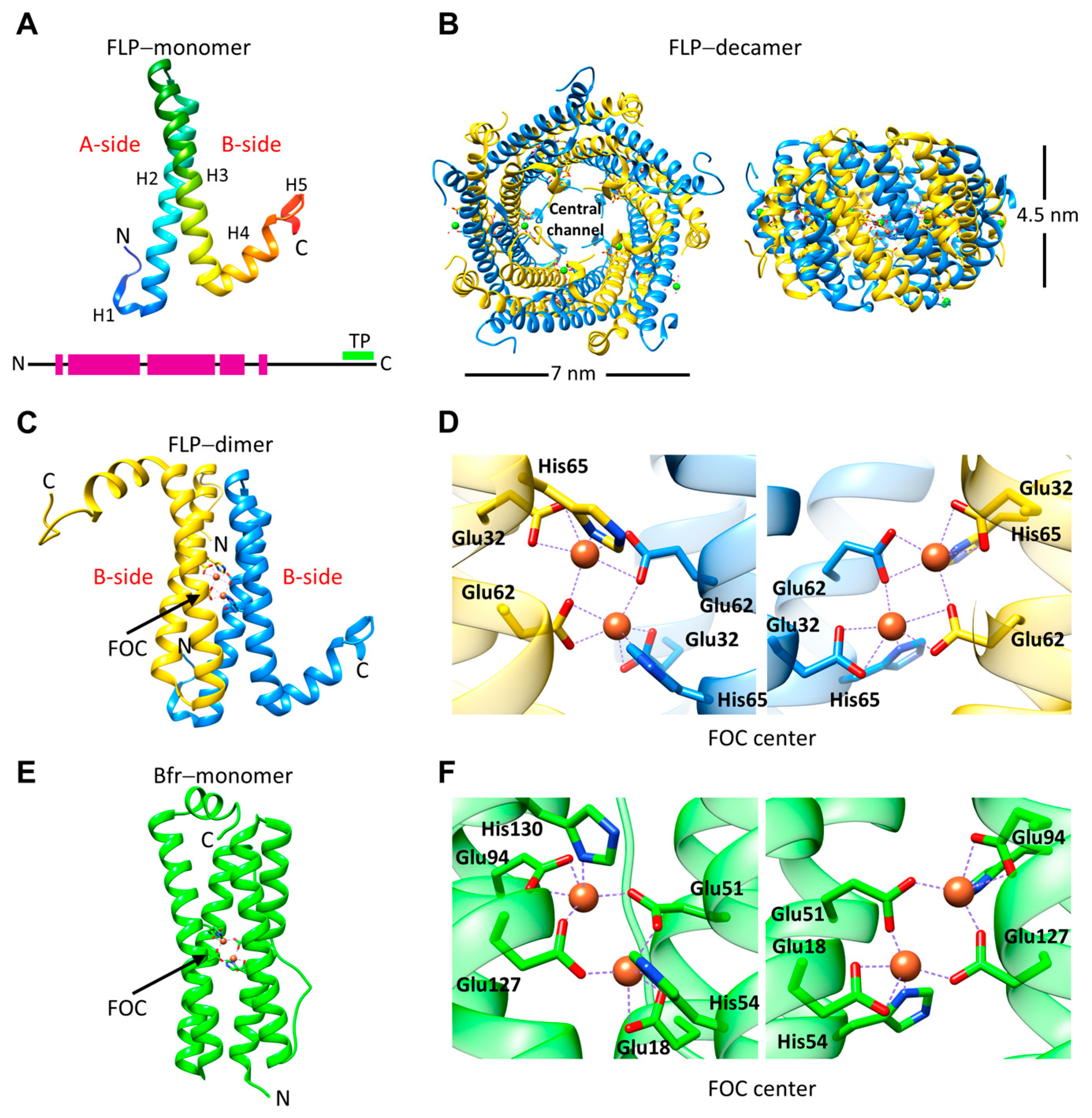 Biomolecules 14 00624 g003