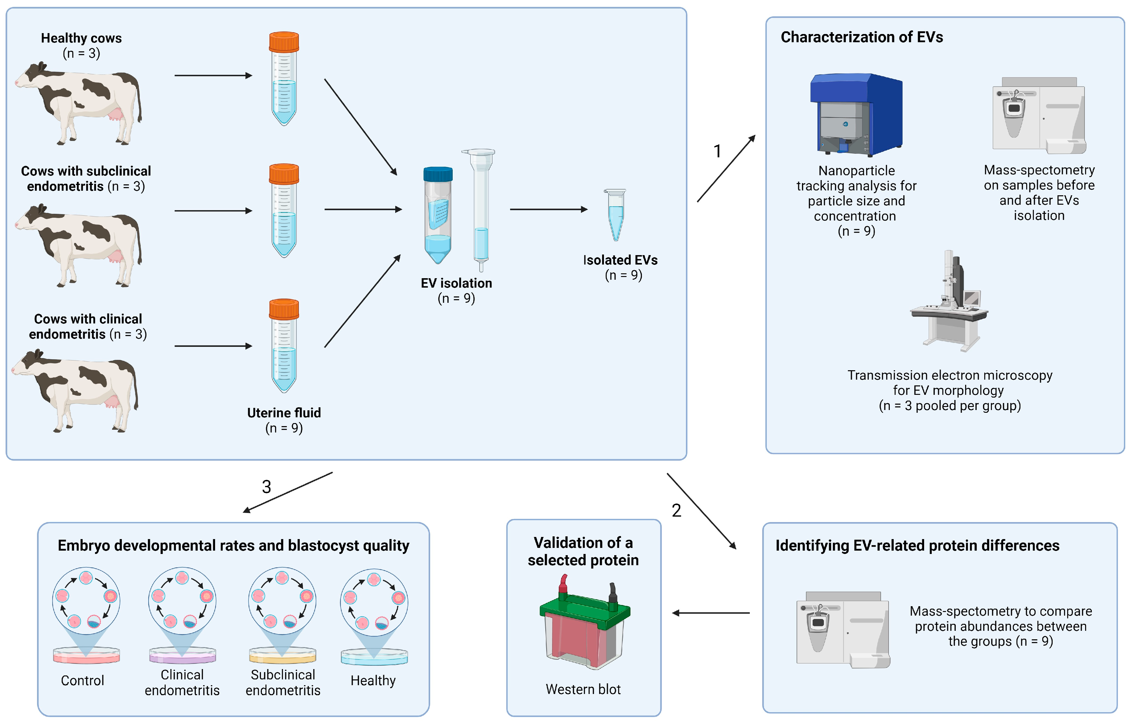Biomolecules 14 00626 g001