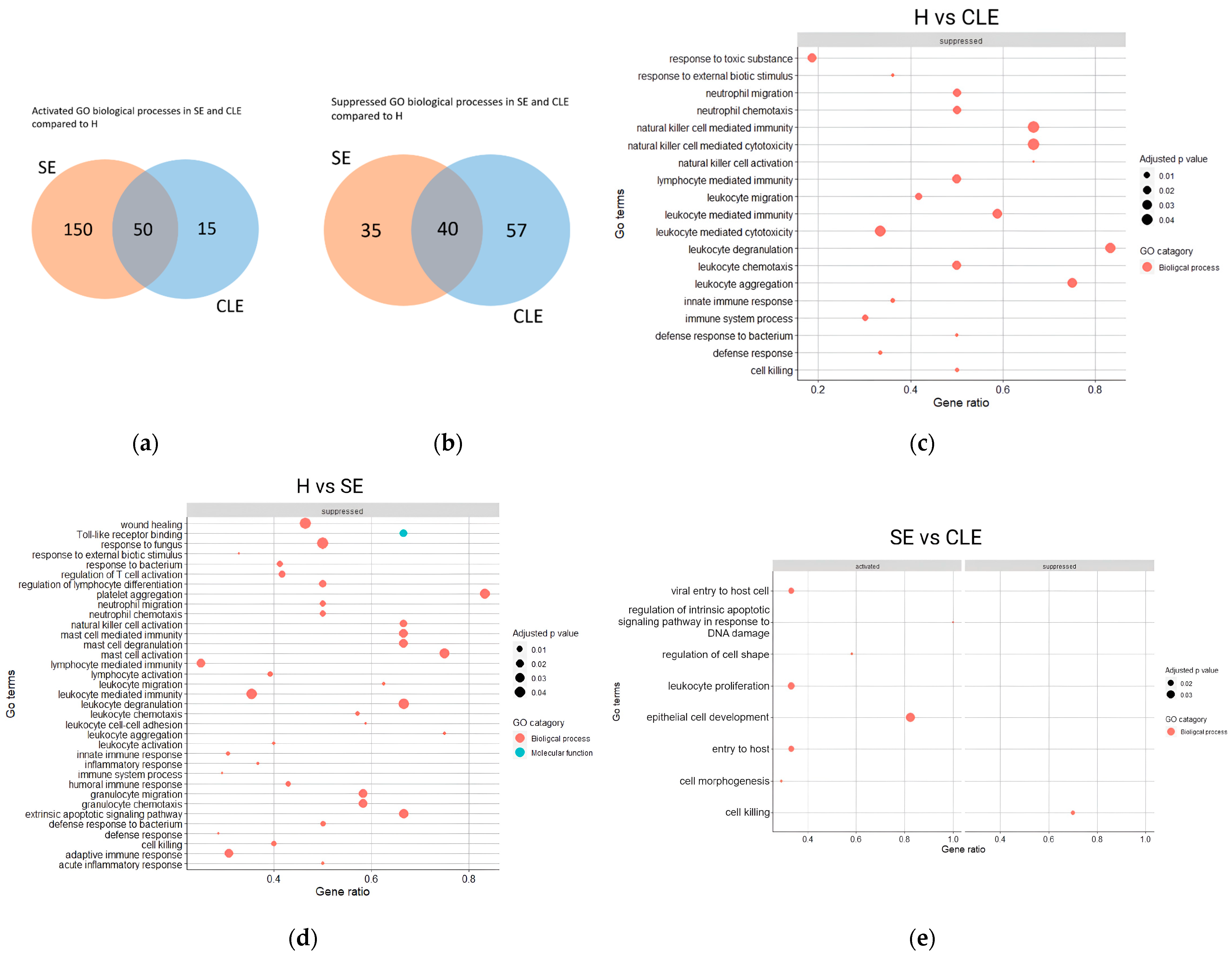 Biomolecules 14 00626 g004