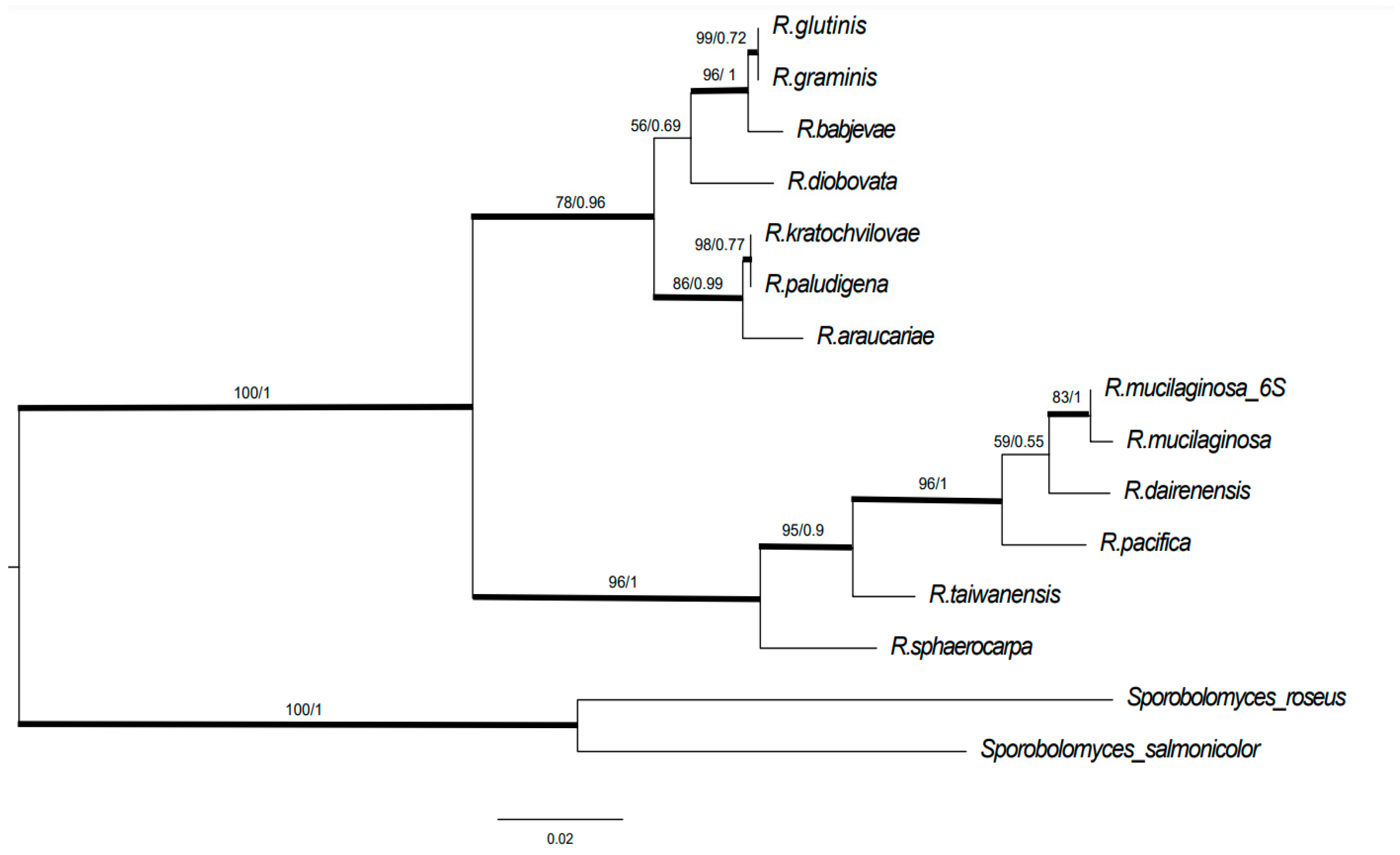 Biomolecules 14 00629 g001